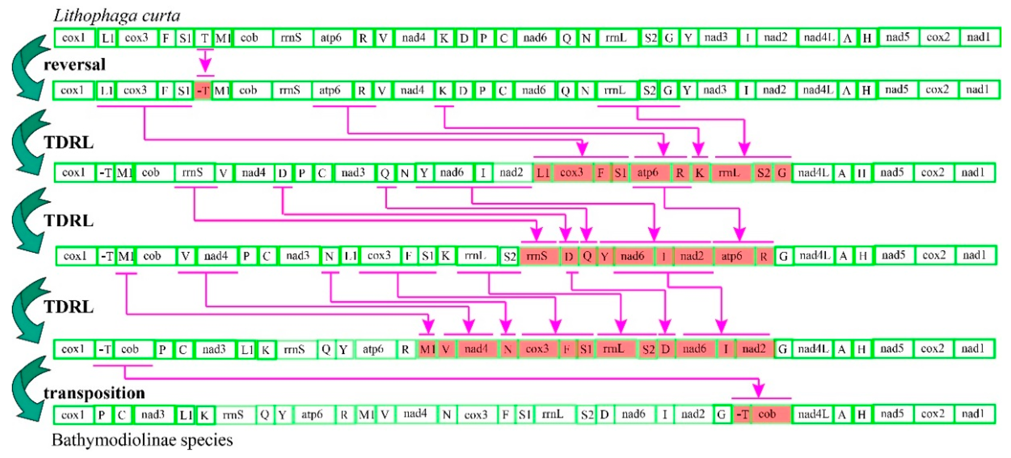 Ijms 22 01900 g002 Ijms 22 01900 g002