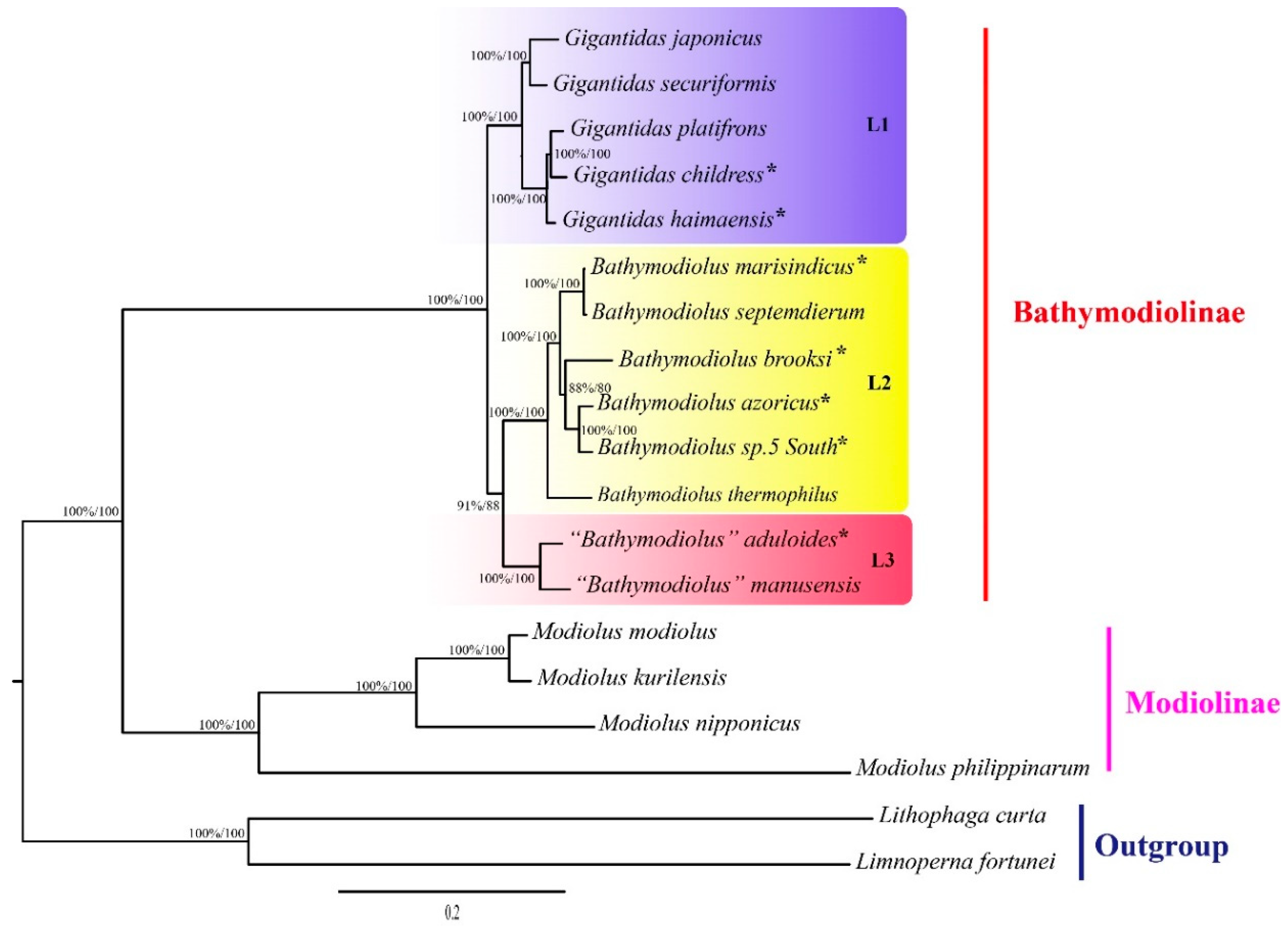 Ijms 22 01900 g003 Ijms 22 01900 g003