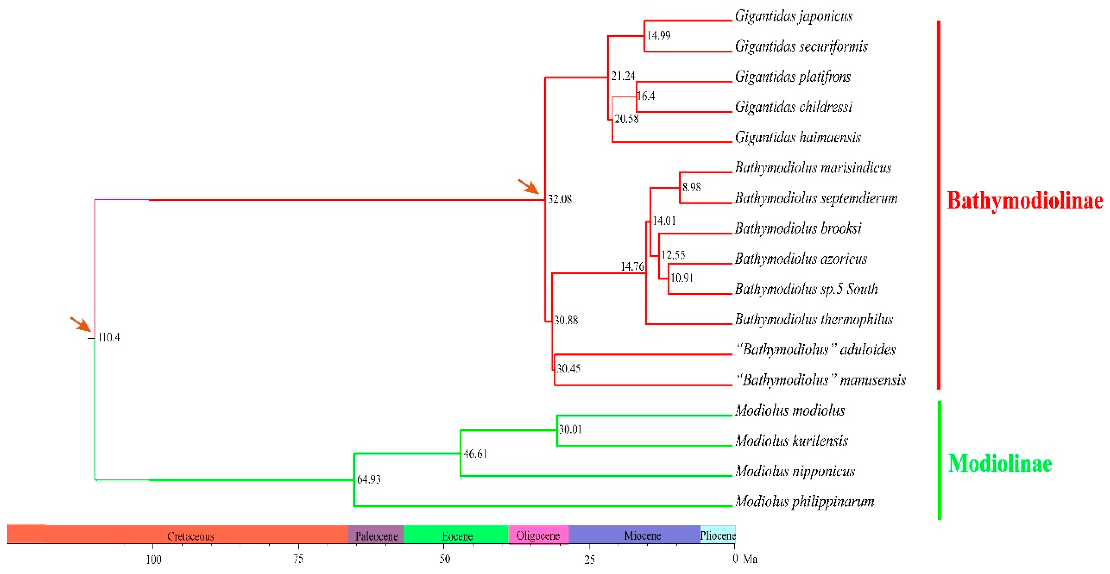 Ijms 22 01900 g004 Ijms 22 01900 g004
