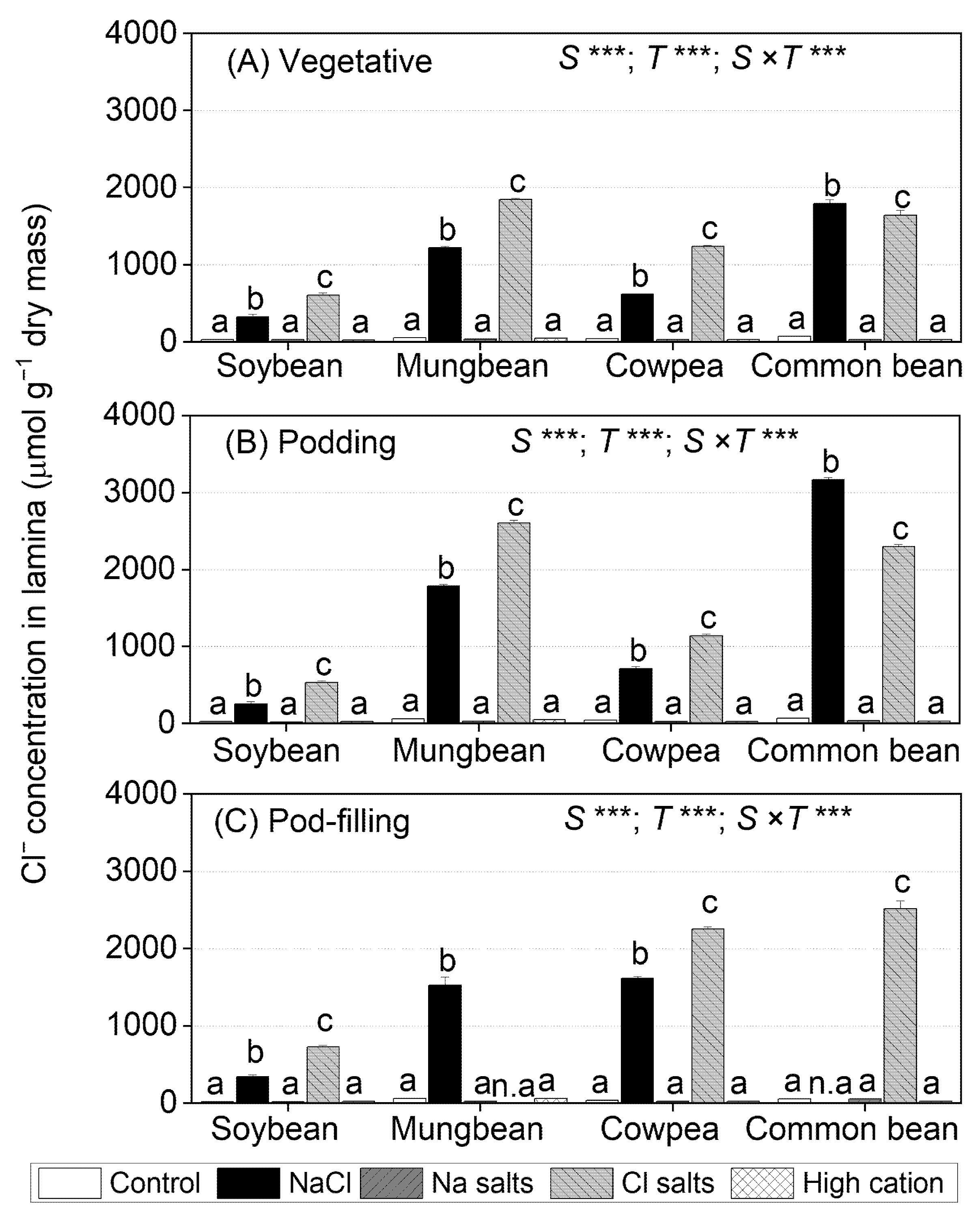 Ijms 22 01909 g003 Ijms 22 01909 g003
