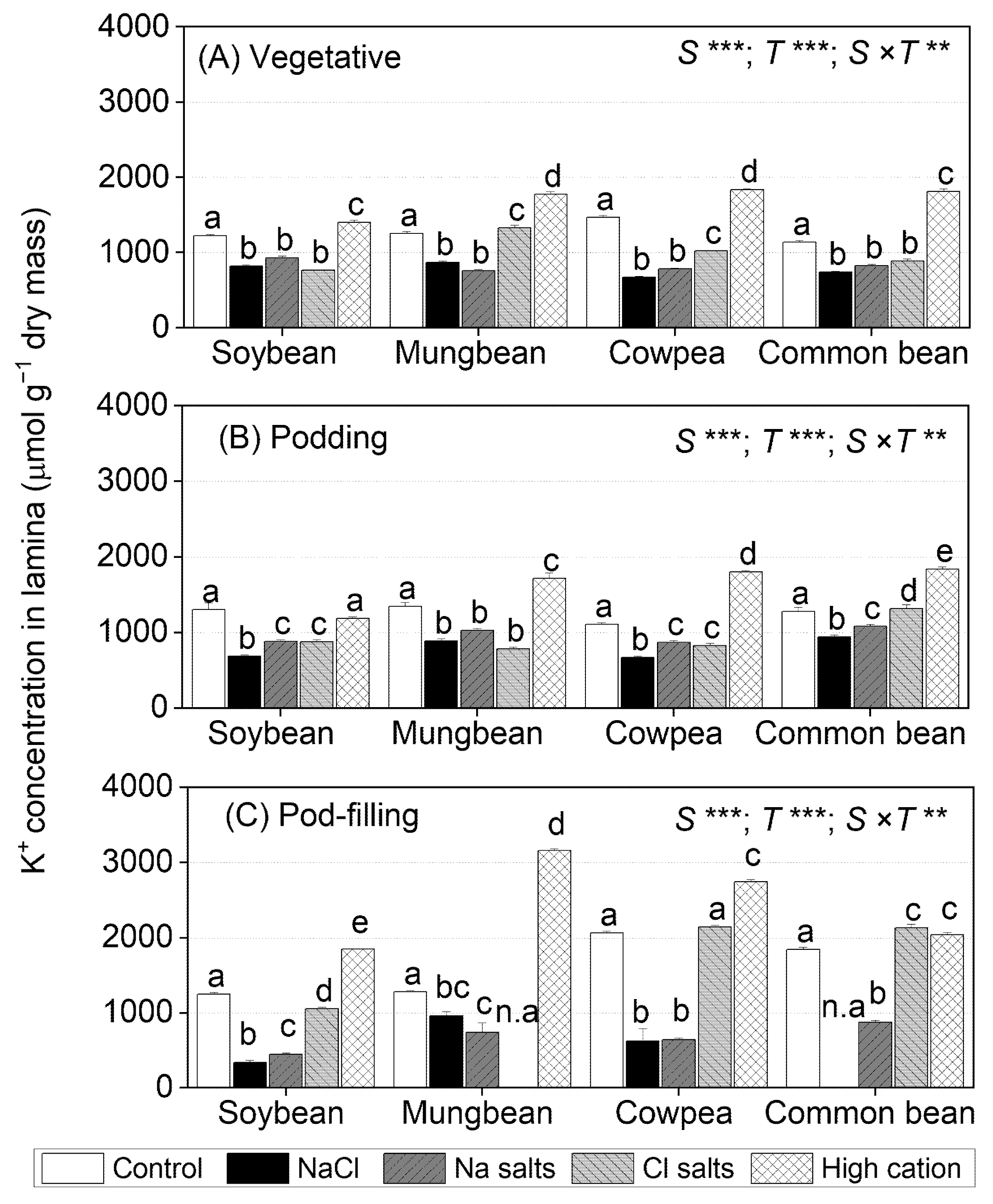 Ijms 22 01909 g004 Ijms 22 01909 g004