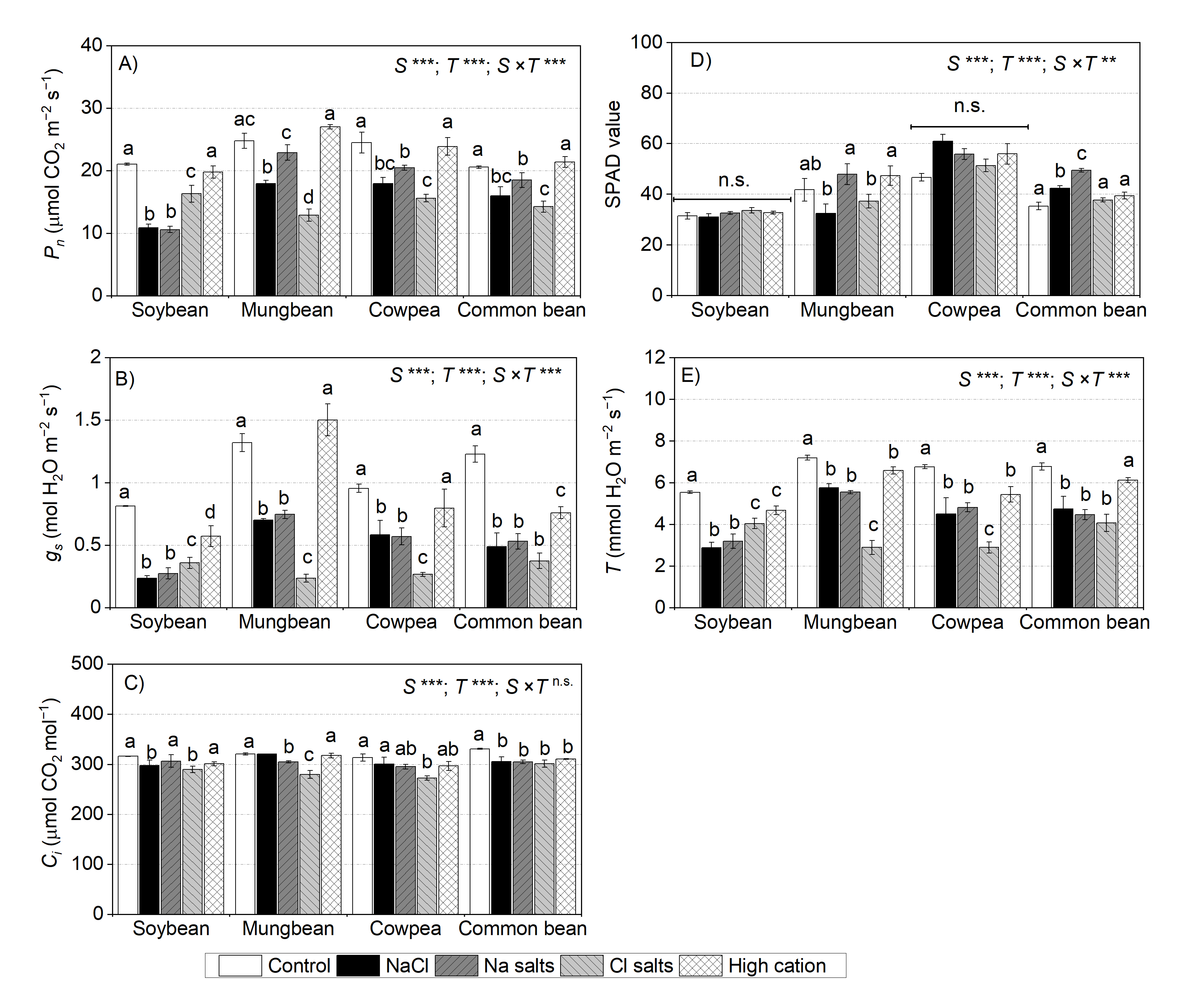 Ijms 22 01909 g006 Ijms 22 01909 g006
