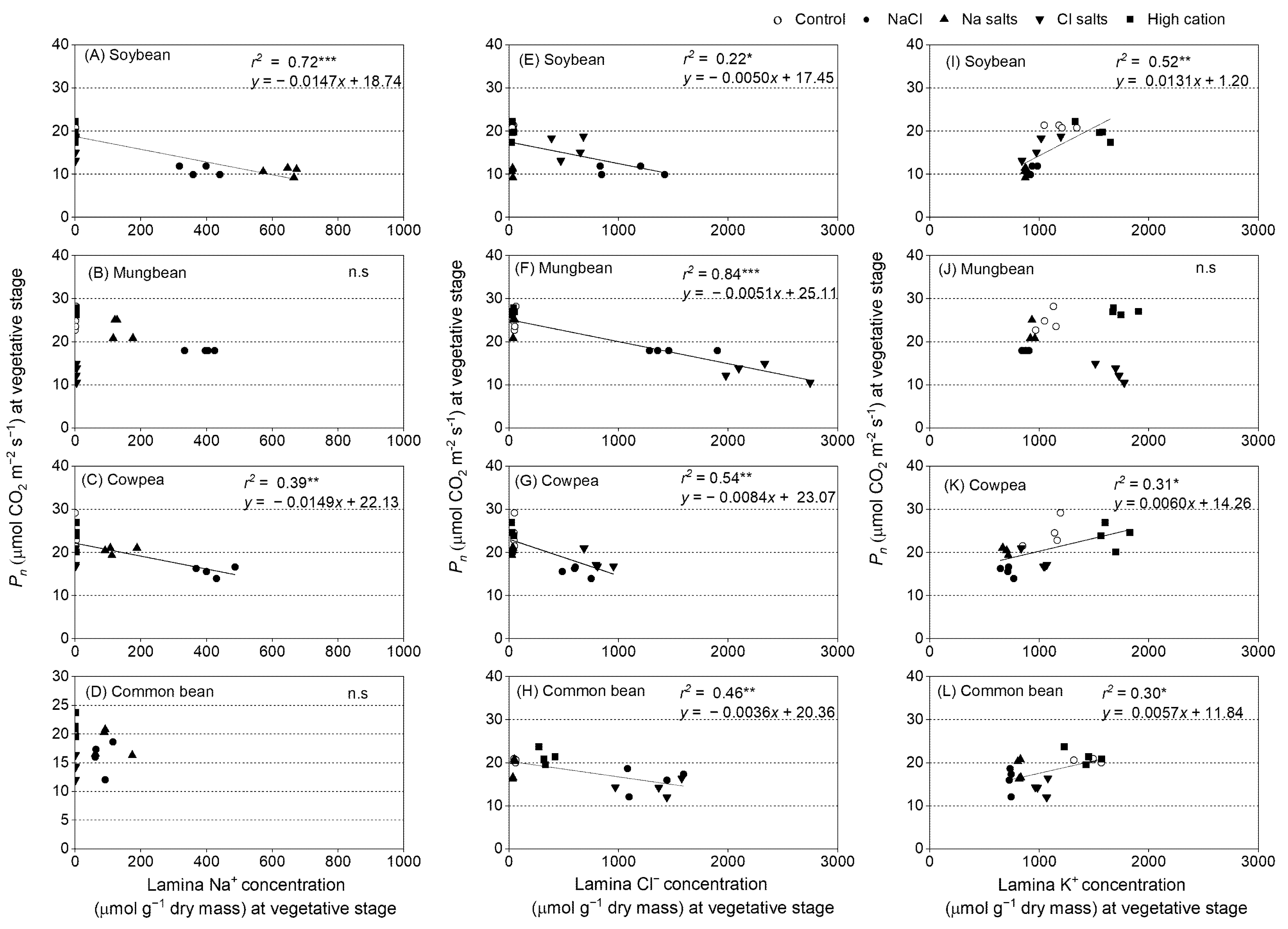 Ijms 22 01909 g007 Ijms 22 01909 g007