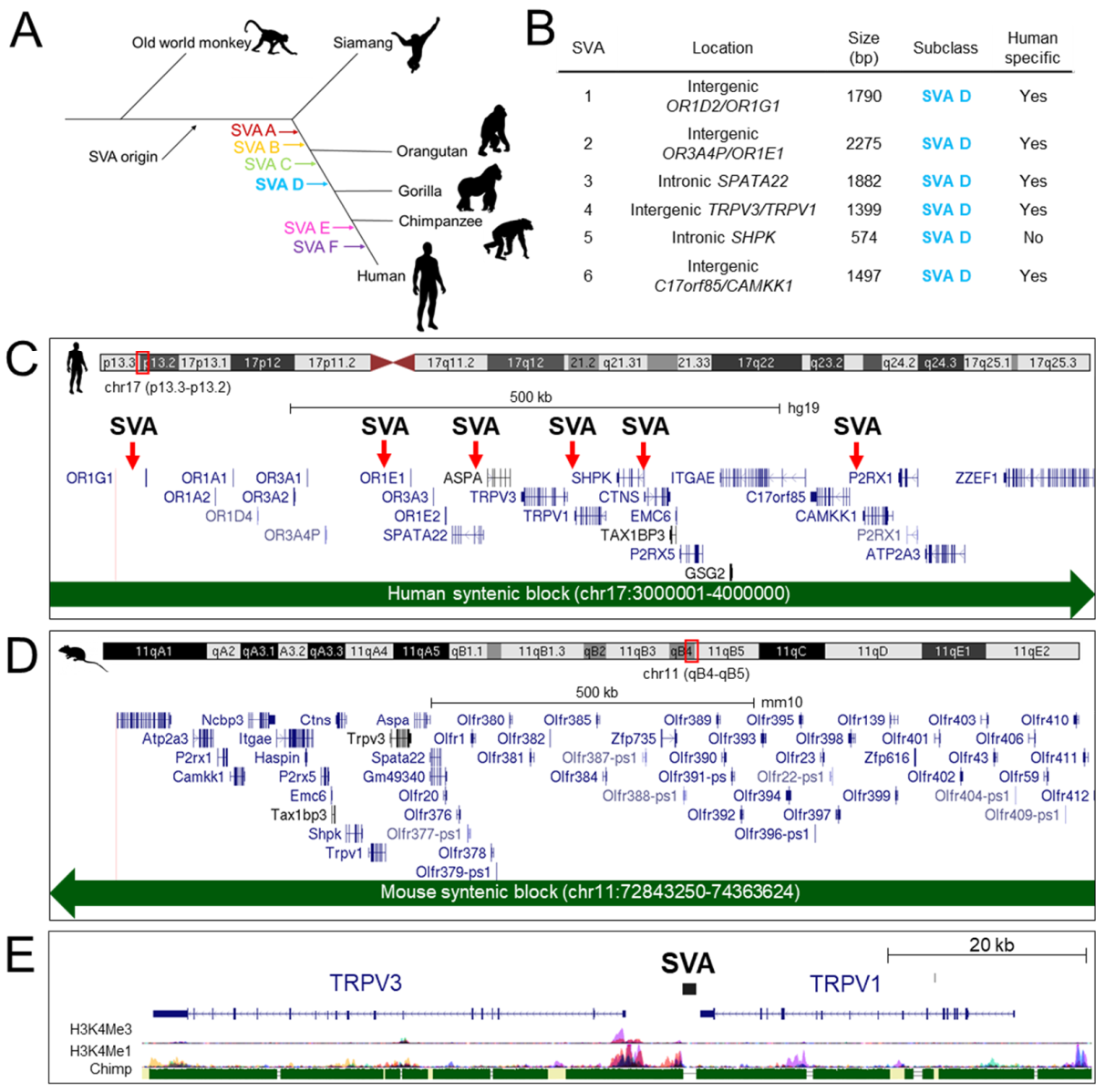 Ijms 22 01911 g001 Ijms 22 01911 g001