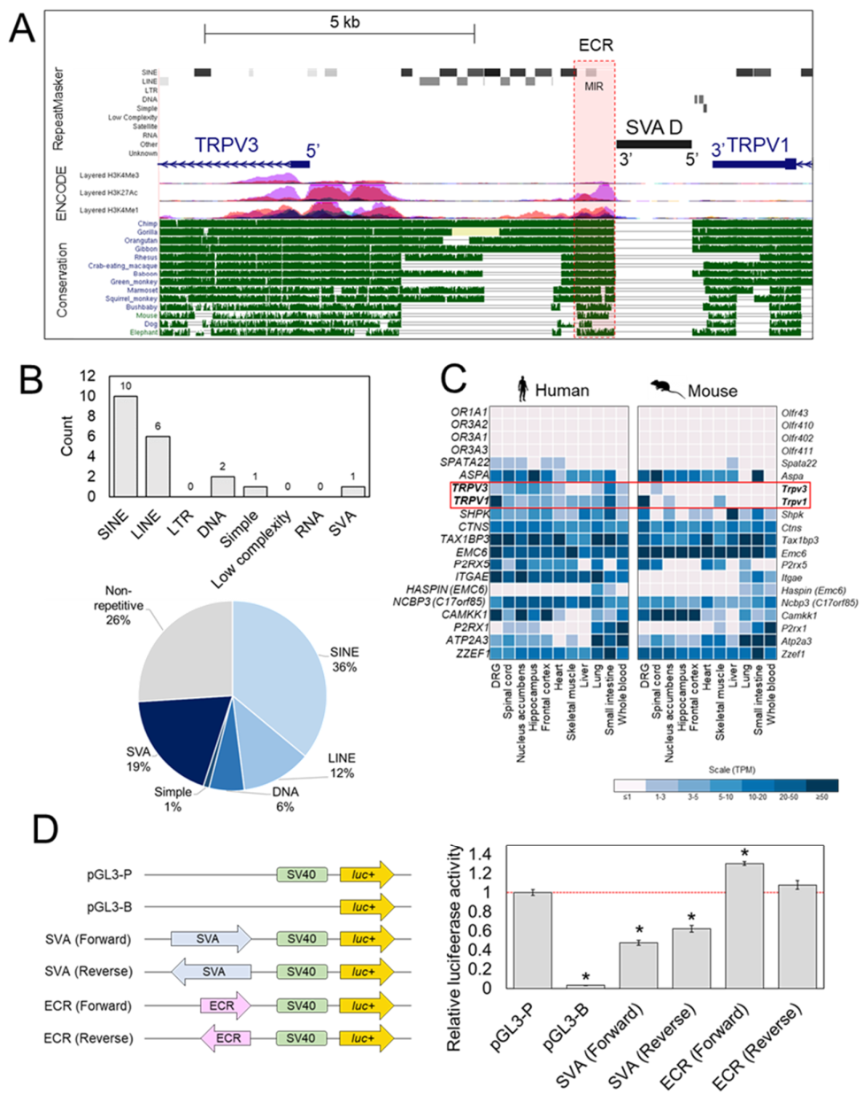Ijms 22 01911 g002 Ijms 22 01911 g002