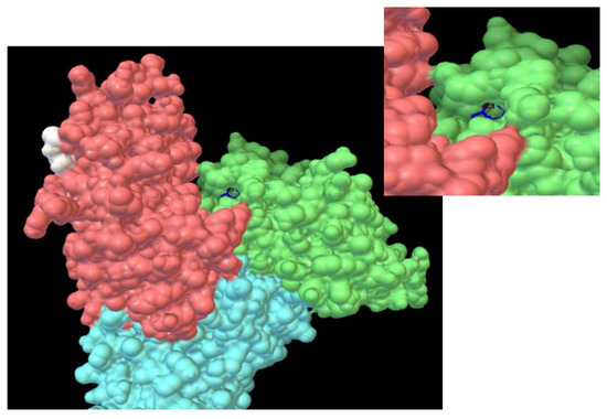 Interaction of Conazole Pesticides Epoxiconazole and