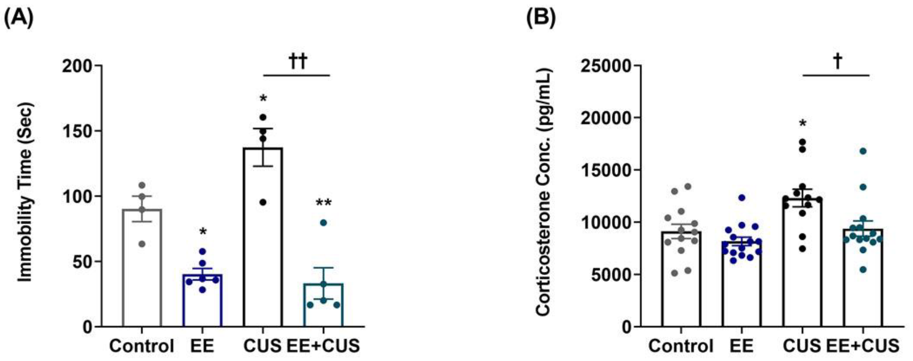 Ijms 22 01928 g002 Ijms 22 01928 g002
