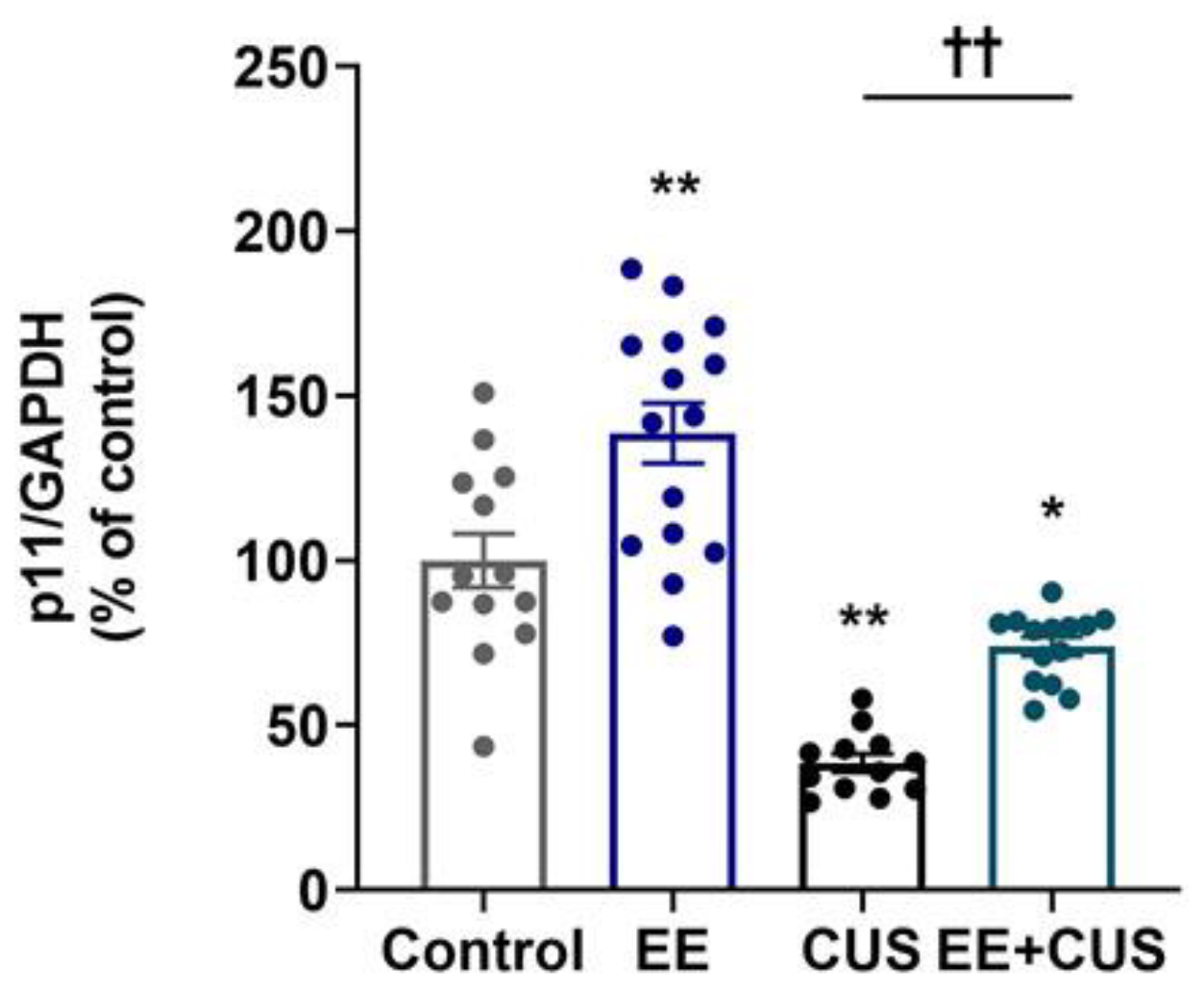 Ijms 22 01928 g003 Ijms 22 01928 g003