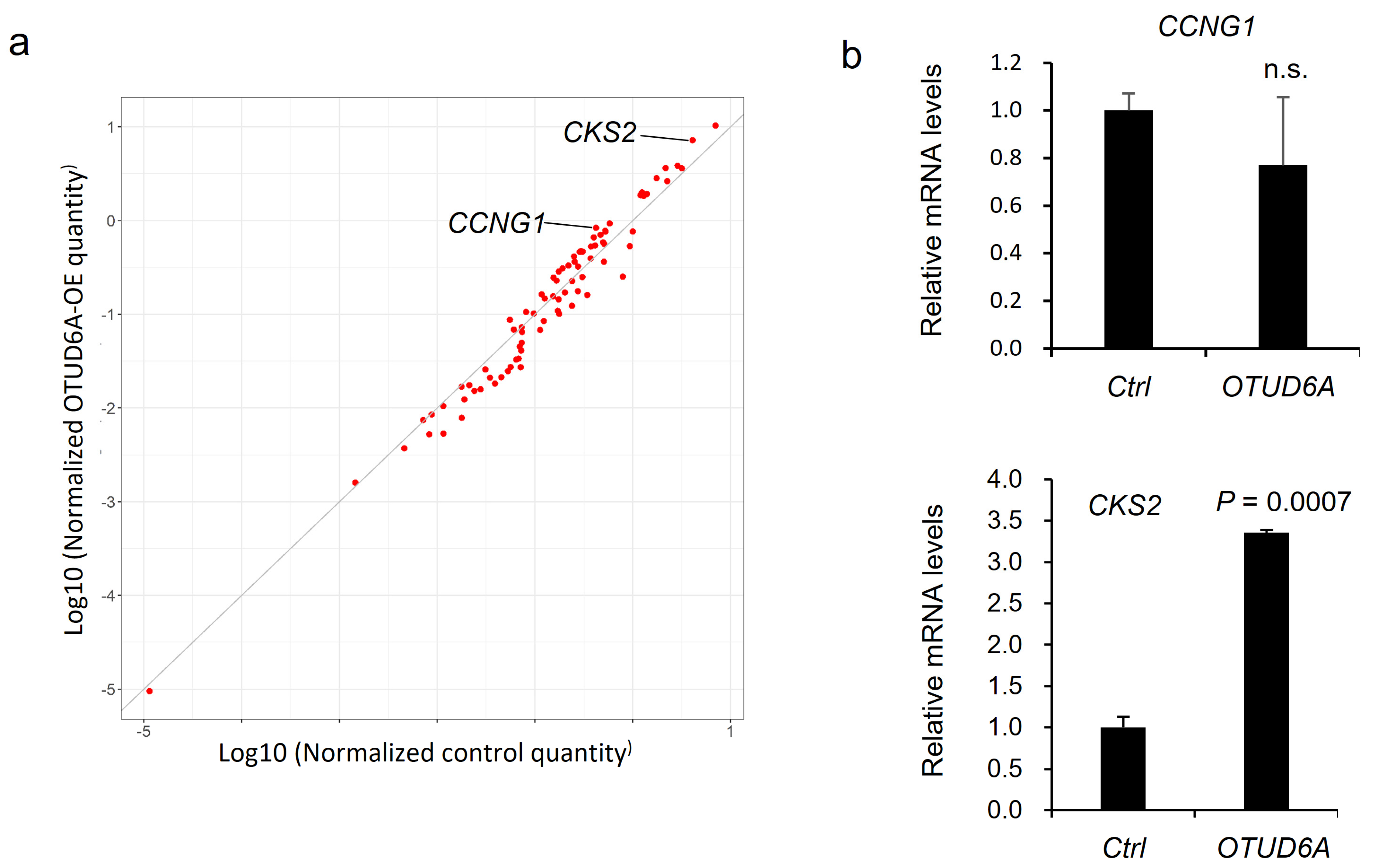 Ijms 22 01936 g005 Ijms 22 01936 g005