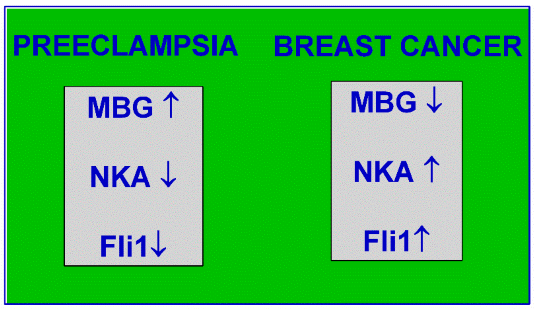 Ijms 22 01941 g002 Ijms 22 01941 g002