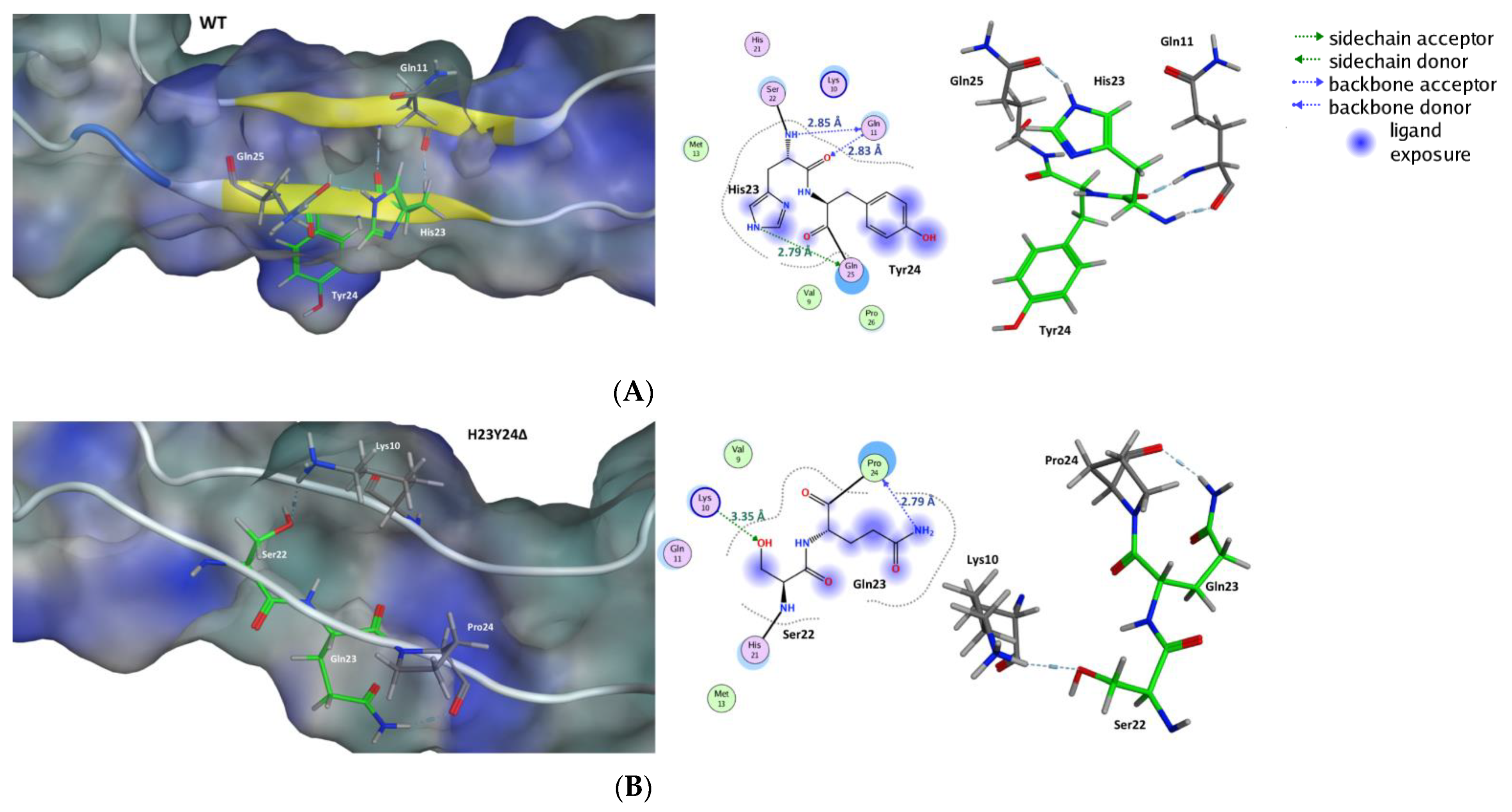 Ijms 22 01948 g004 Ijms 22 01948 g004