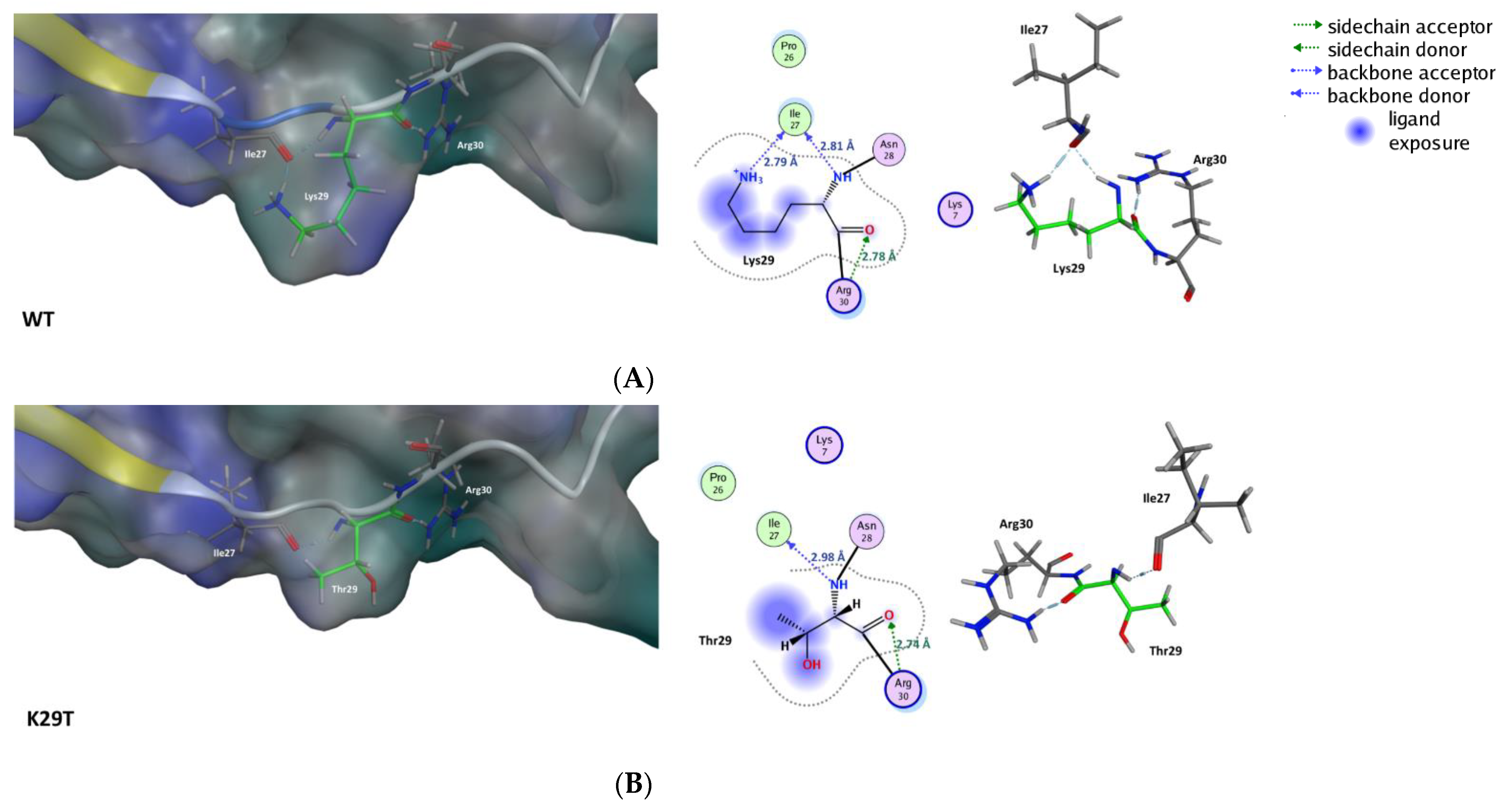 Ijms 22 01948 g006 Ijms 22 01948 g006