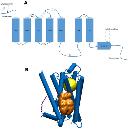 Ijms 22 01953 g001 550