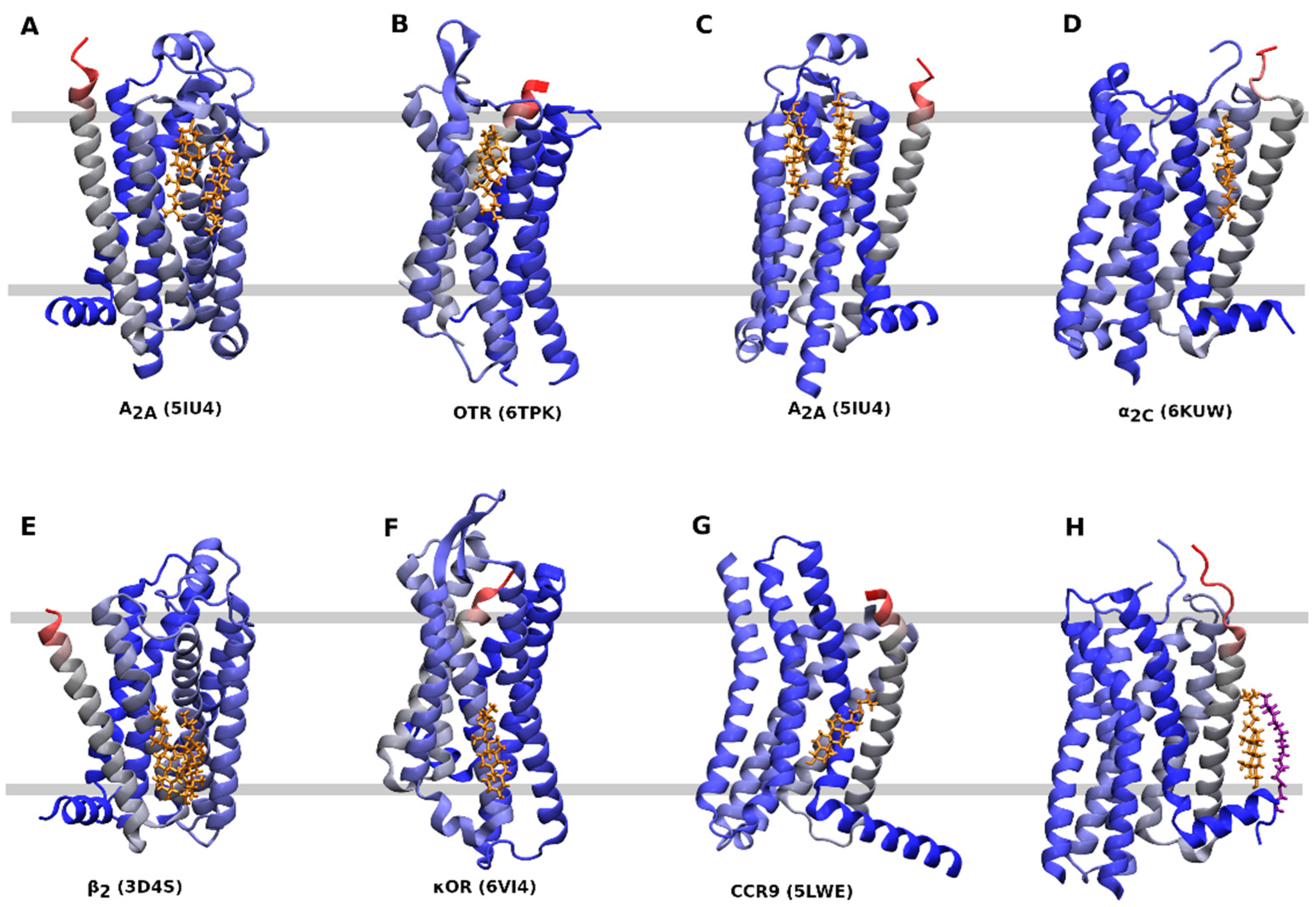 Ijms Free Full Text Allosteric Modulation Of Gpcrs Of Class A By Cholesterol Html Ijms Free Full Text Allosteric Modulation Of Gpcrs Of Class A By Cholesterol Html