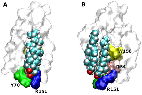 Ijms 22 01953 g004 550