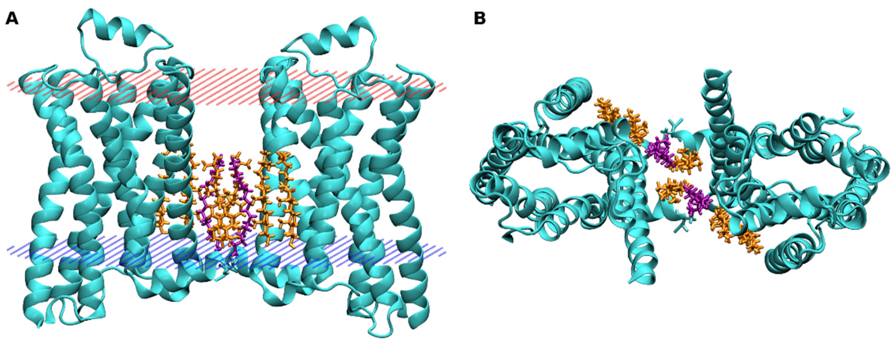 Ijms Free Full Text Allosteric Modulation Of Gpcrs Of Class A By Cholesterol Html Ijms Free Full Text Allosteric Modulation Of Gpcrs Of Class A By Cholesterol Html
