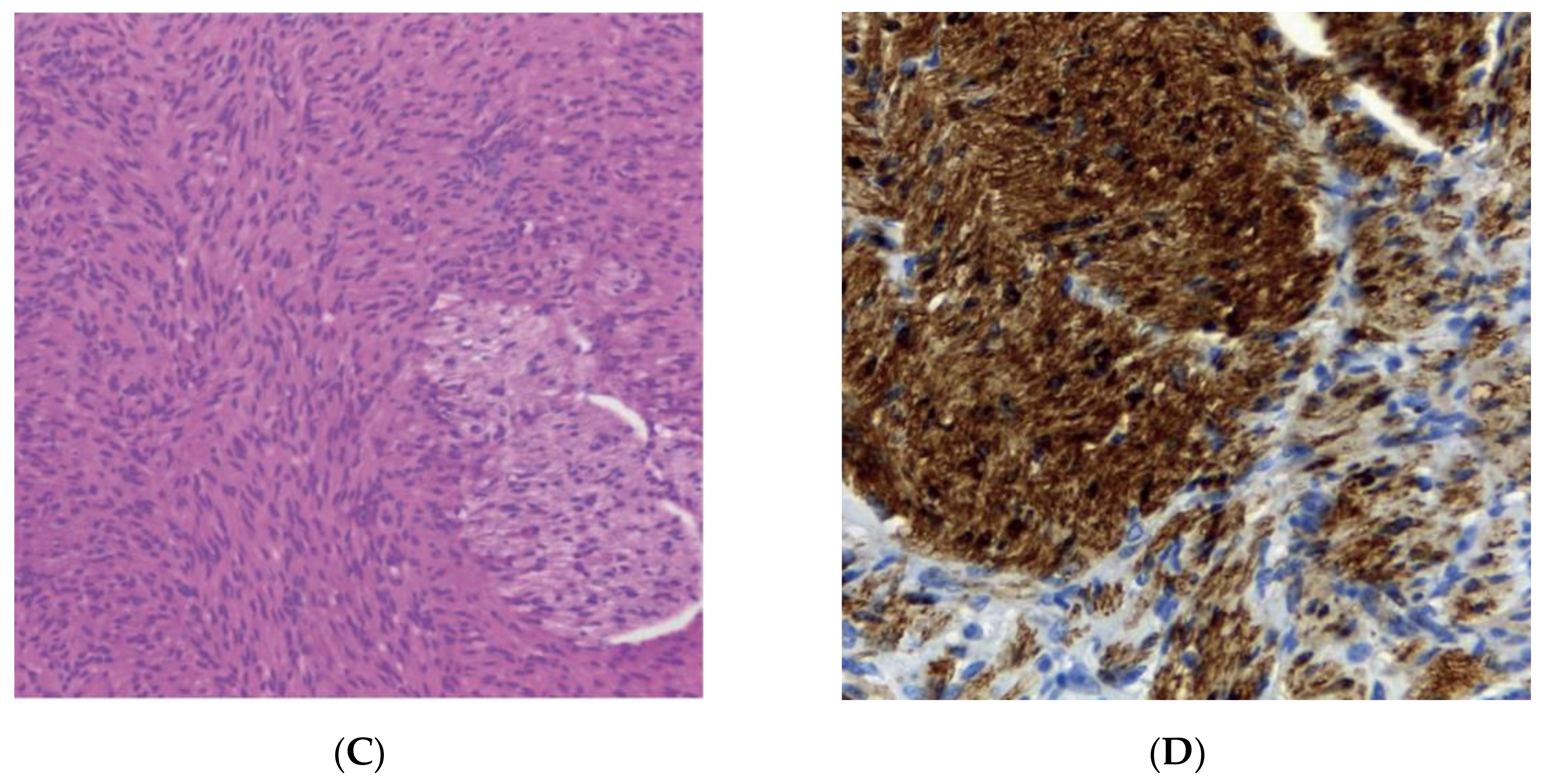 Ijms 22 01954 g001b Ijms 22 01954 g001b