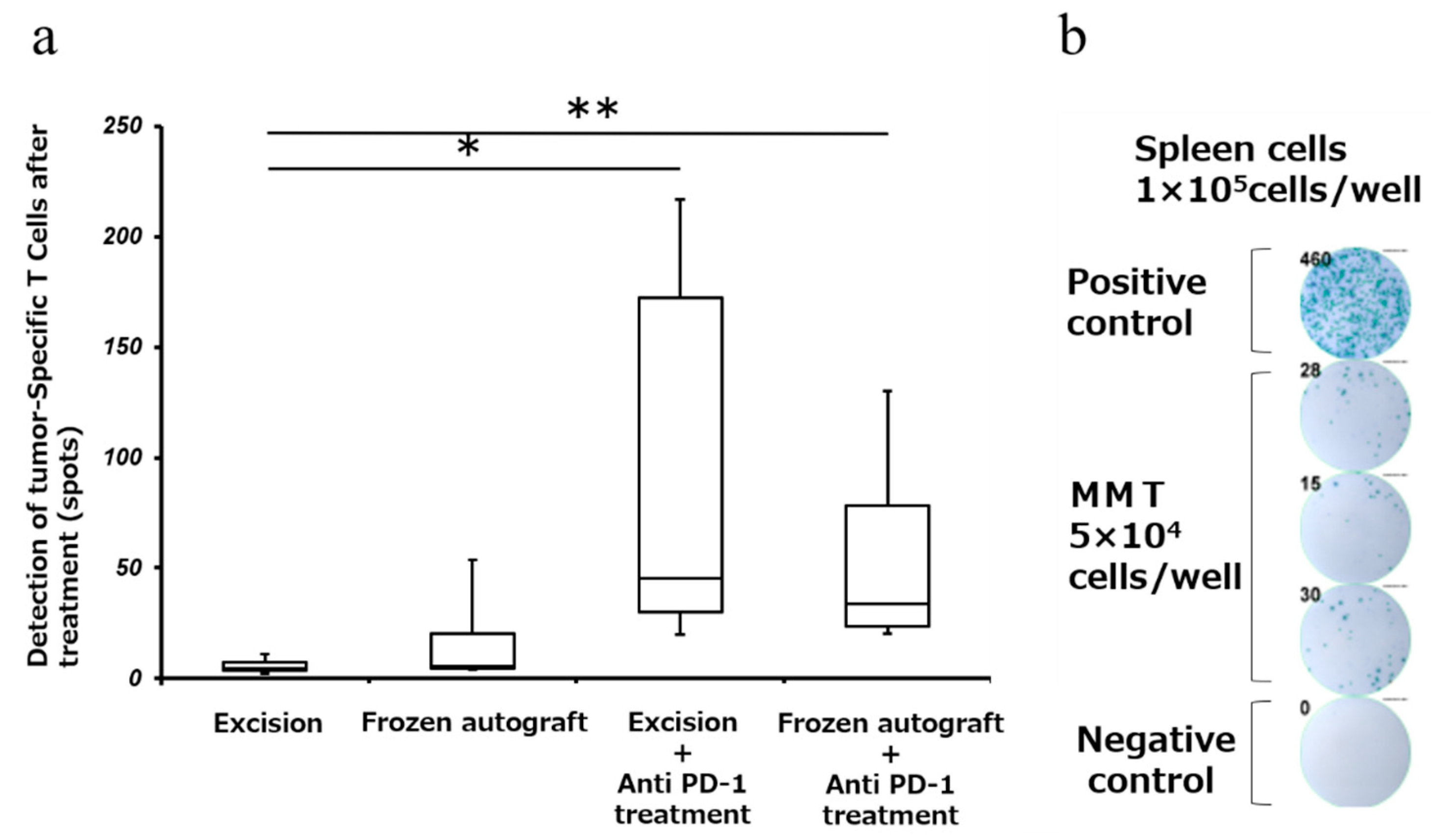 Ijms 22 01973 g004 Ijms 22 01973 g004