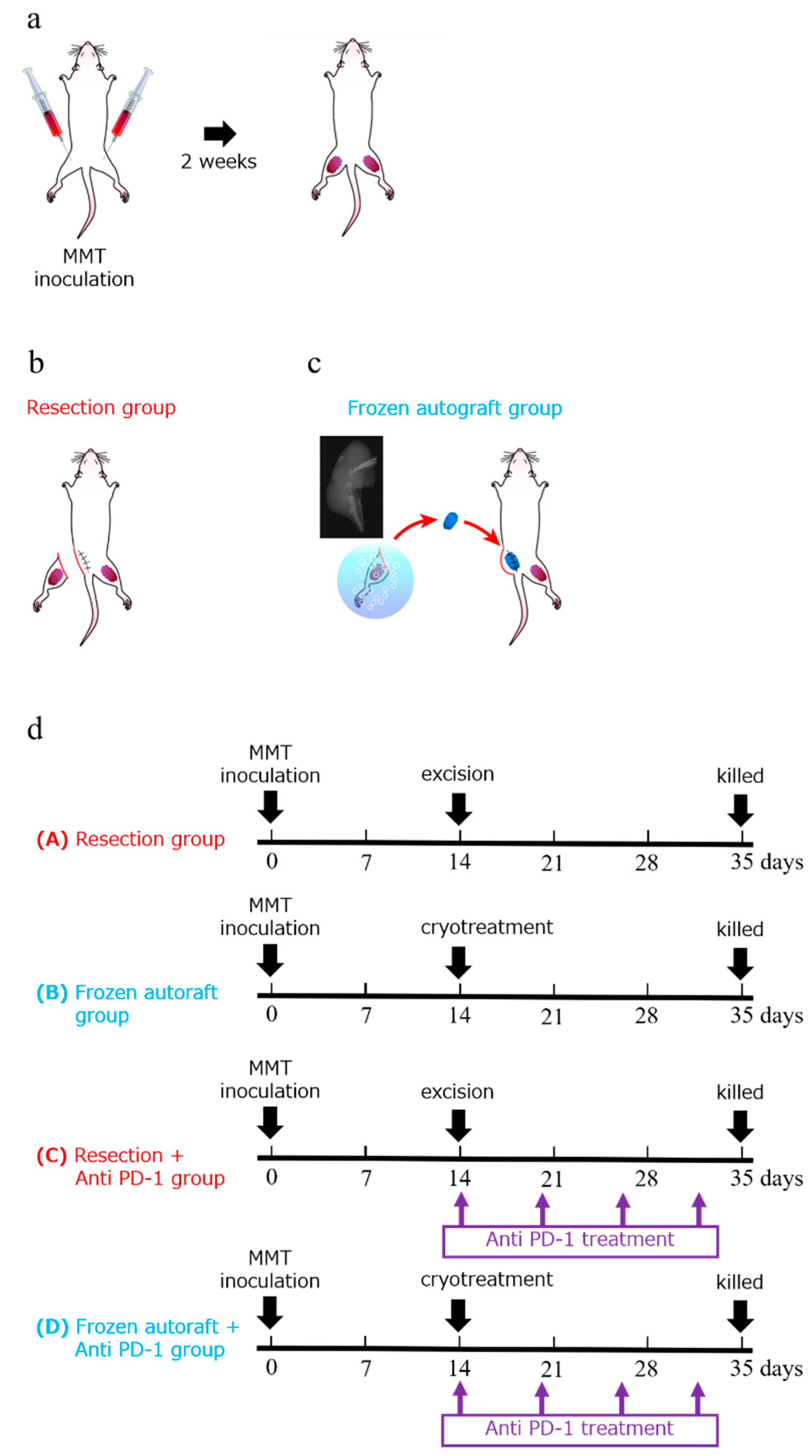 Ijms 22 01973 g006 Ijms 22 01973 g006