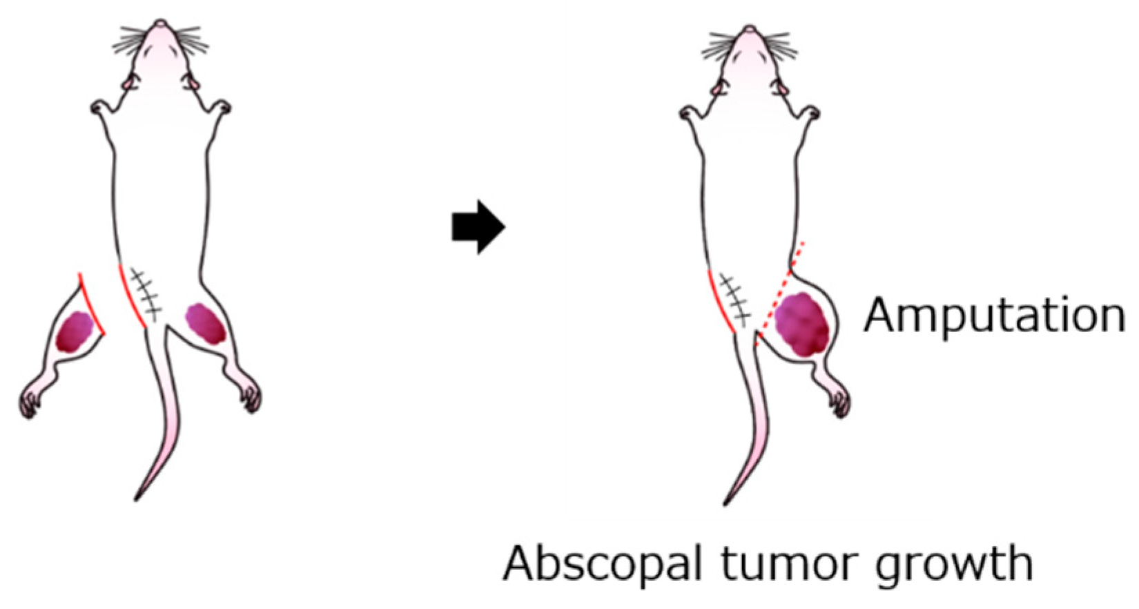Ijms 22 01973 g007 Ijms 22 01973 g007