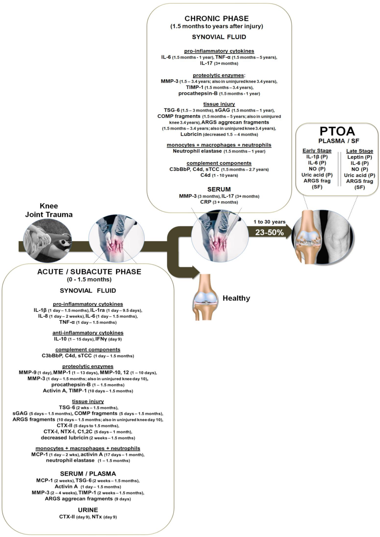 Ijms Free Full Text An Evidence Based Systematic Review Of Human Knee Post Traumatic Osteoarthritis Ptoa Timeline Of Clinical Presentation And Disease Markers Comparison Of Knee Joint Ptoa Models And Early Disease Implications Ijms Free Full Text An Evidence Based Systematic Review Of Human Knee Post Traumatic Osteoarthritis Ptoa Timeline Of Clinical Presentation And Disease Markers Comparison Of Knee Joint Ptoa Models And Early Disease Implications