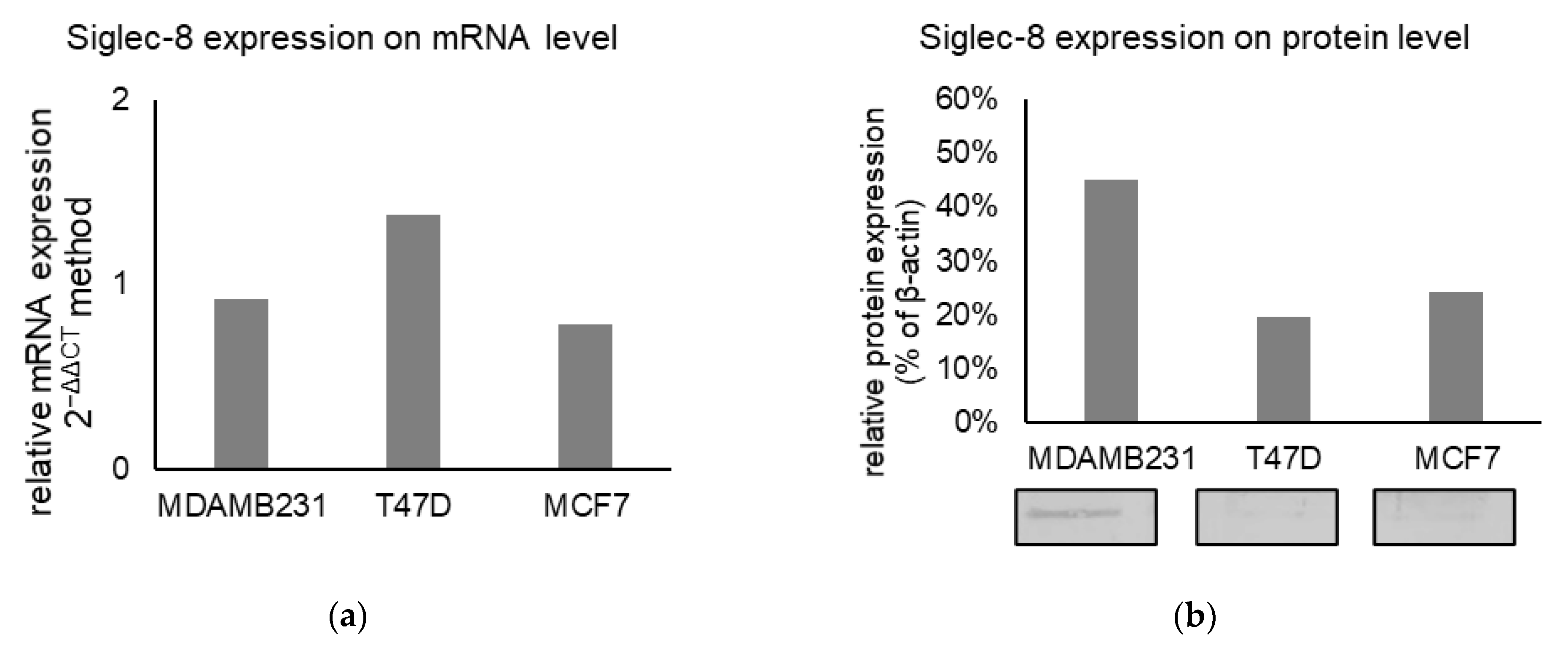 Ijms 22 02000 g006 Ijms 22 02000 g006