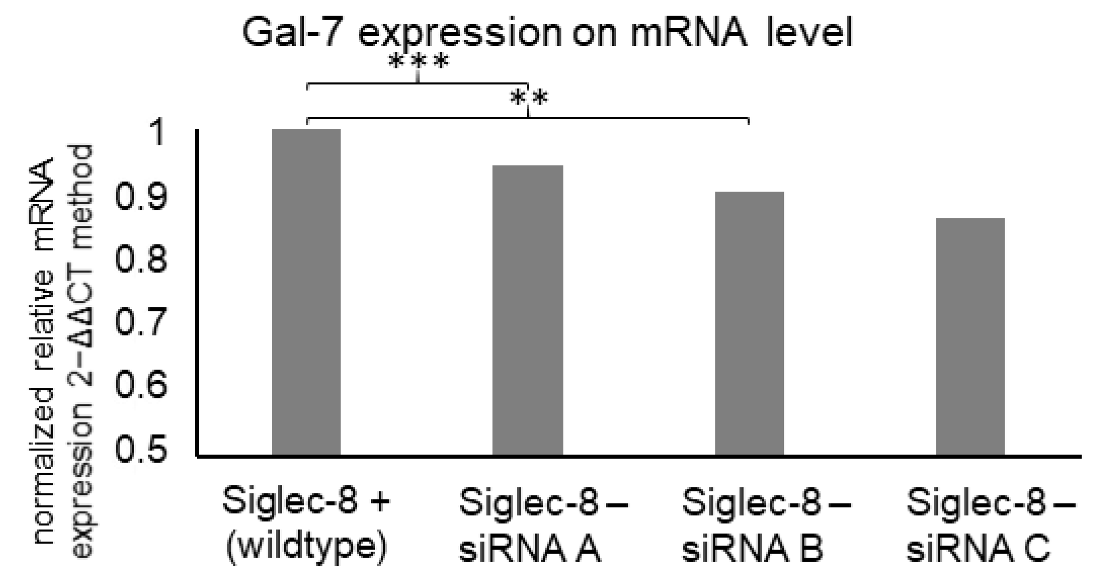 Ijms 22 02000 g007 Ijms 22 02000 g007