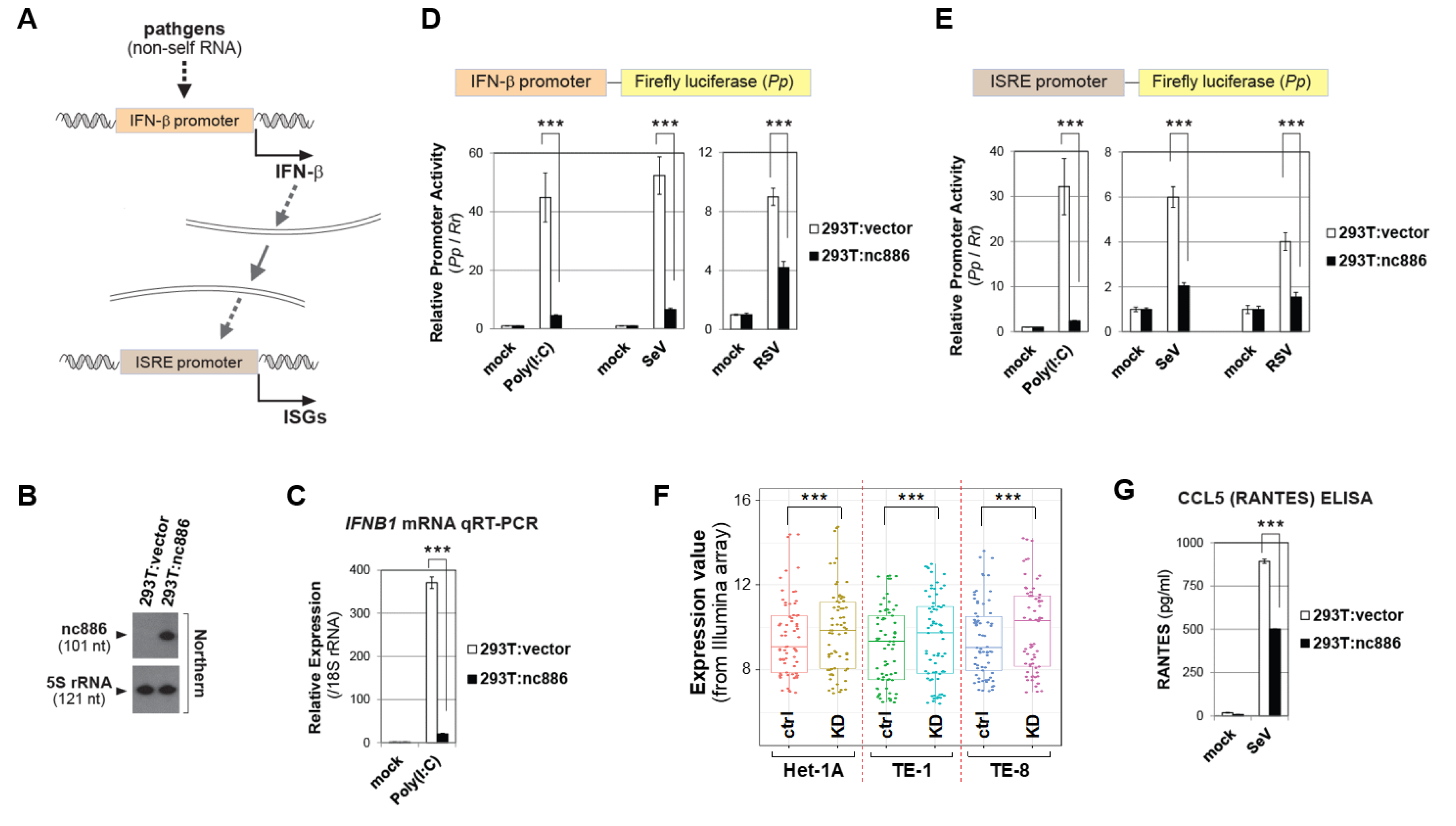 Ijms 22 02003 g001 Ijms 22 02003 g001