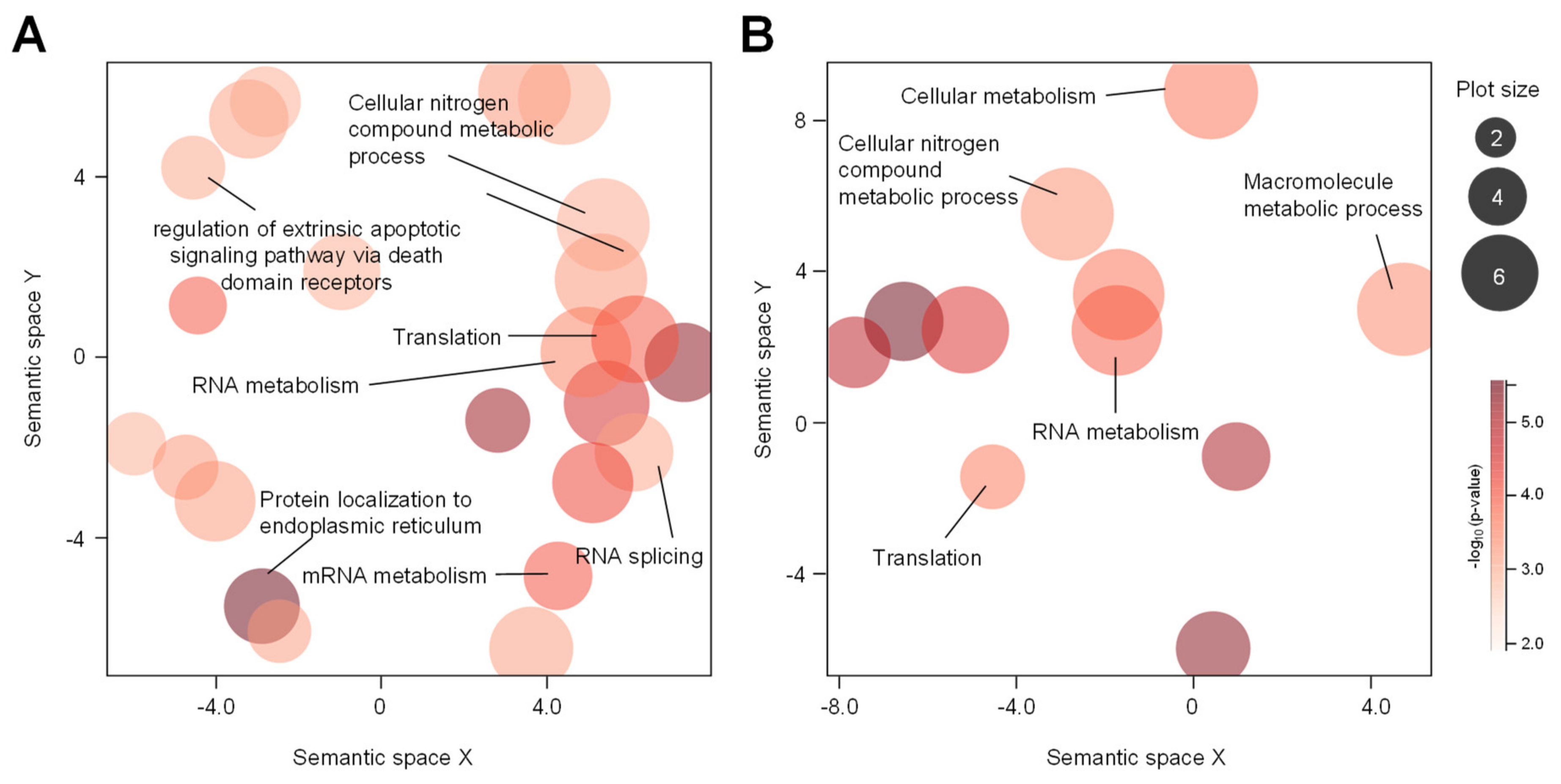 Ijms 22 02006 g005 Ijms 22 02006 g005