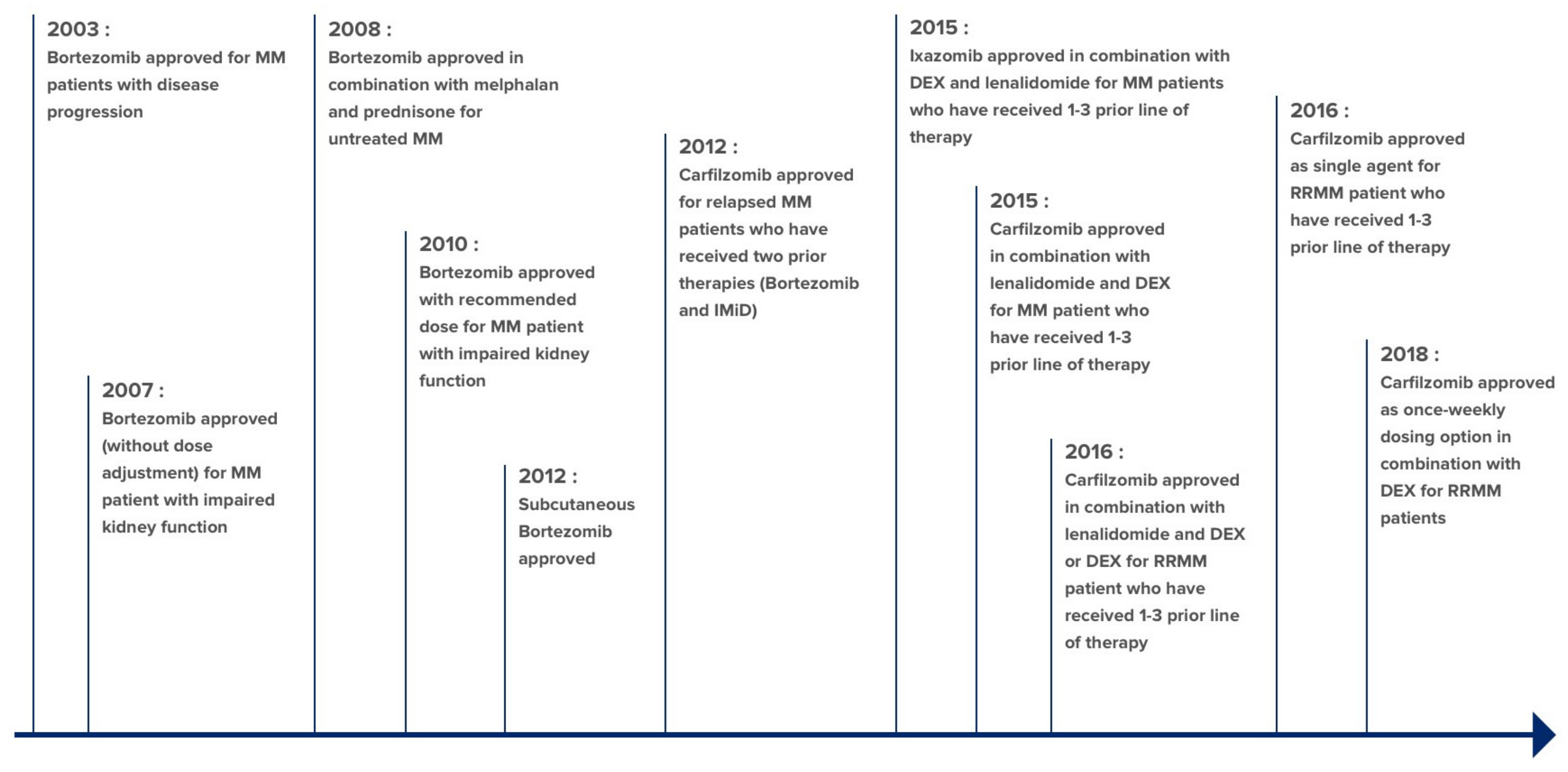 Ijms 22 02008 g005 Ijms 22 02008 g005