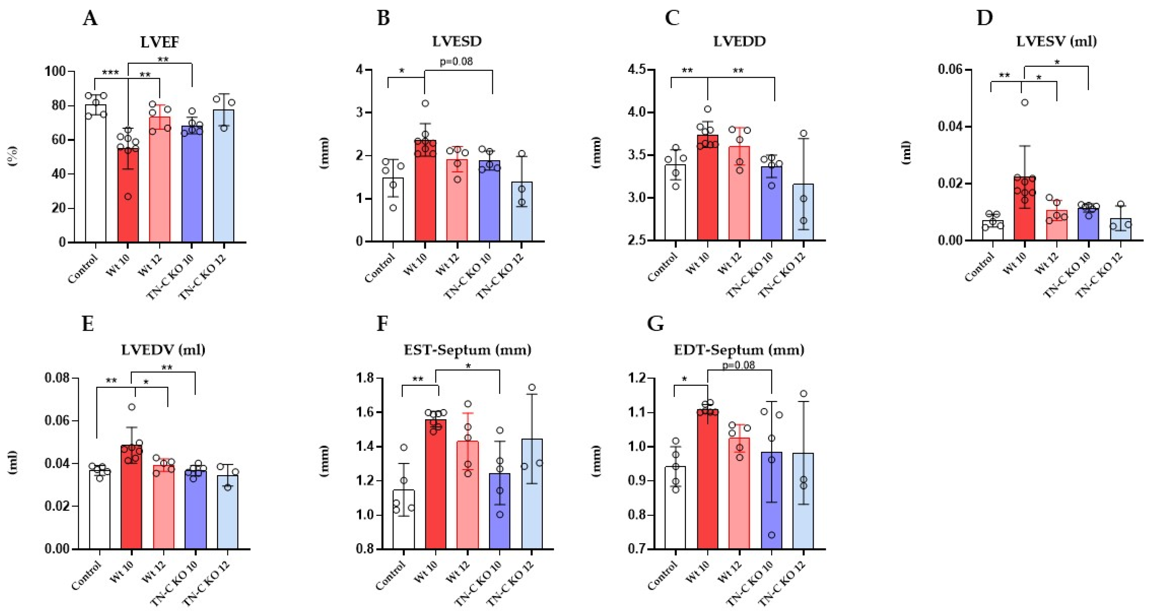 Ijms 22 02023 g002 Ijms 22 02023 g002