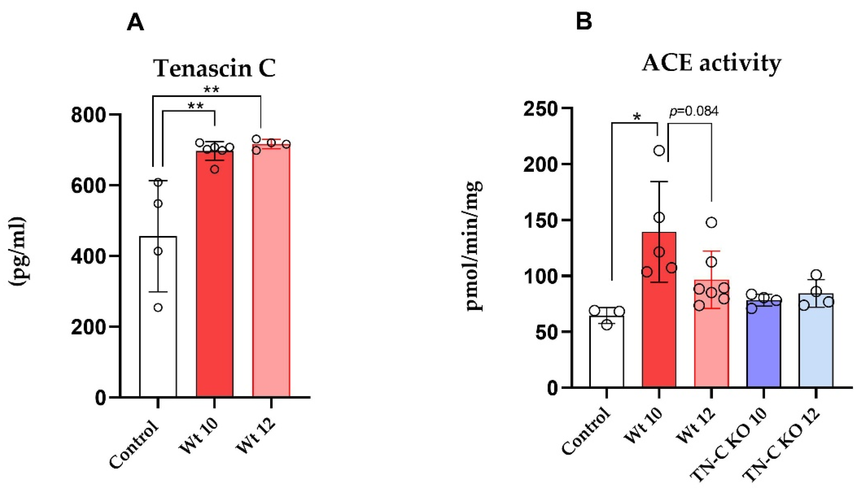 Ijms 22 02023 g004 Ijms 22 02023 g004