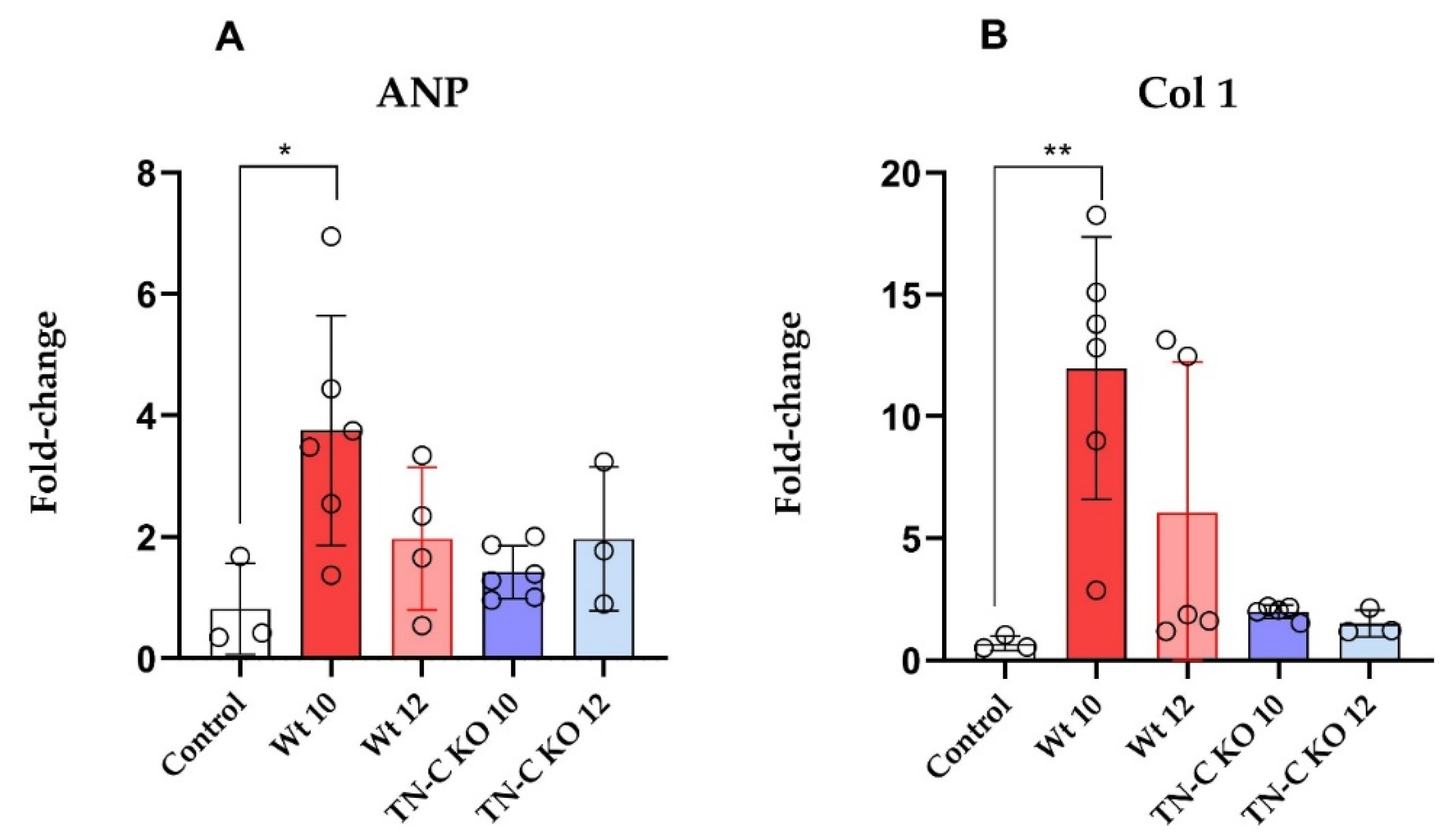 Ijms 22 02023 g005 Ijms 22 02023 g005