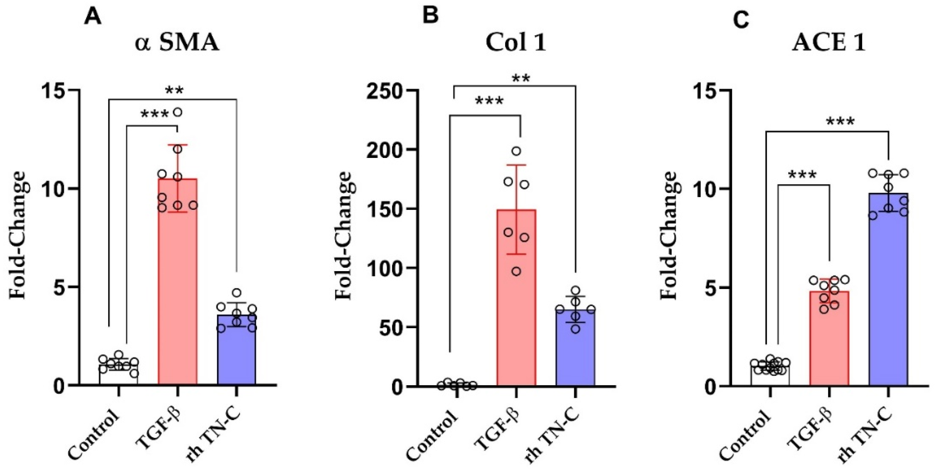 Ijms 22 02023 g006 Ijms 22 02023 g006
