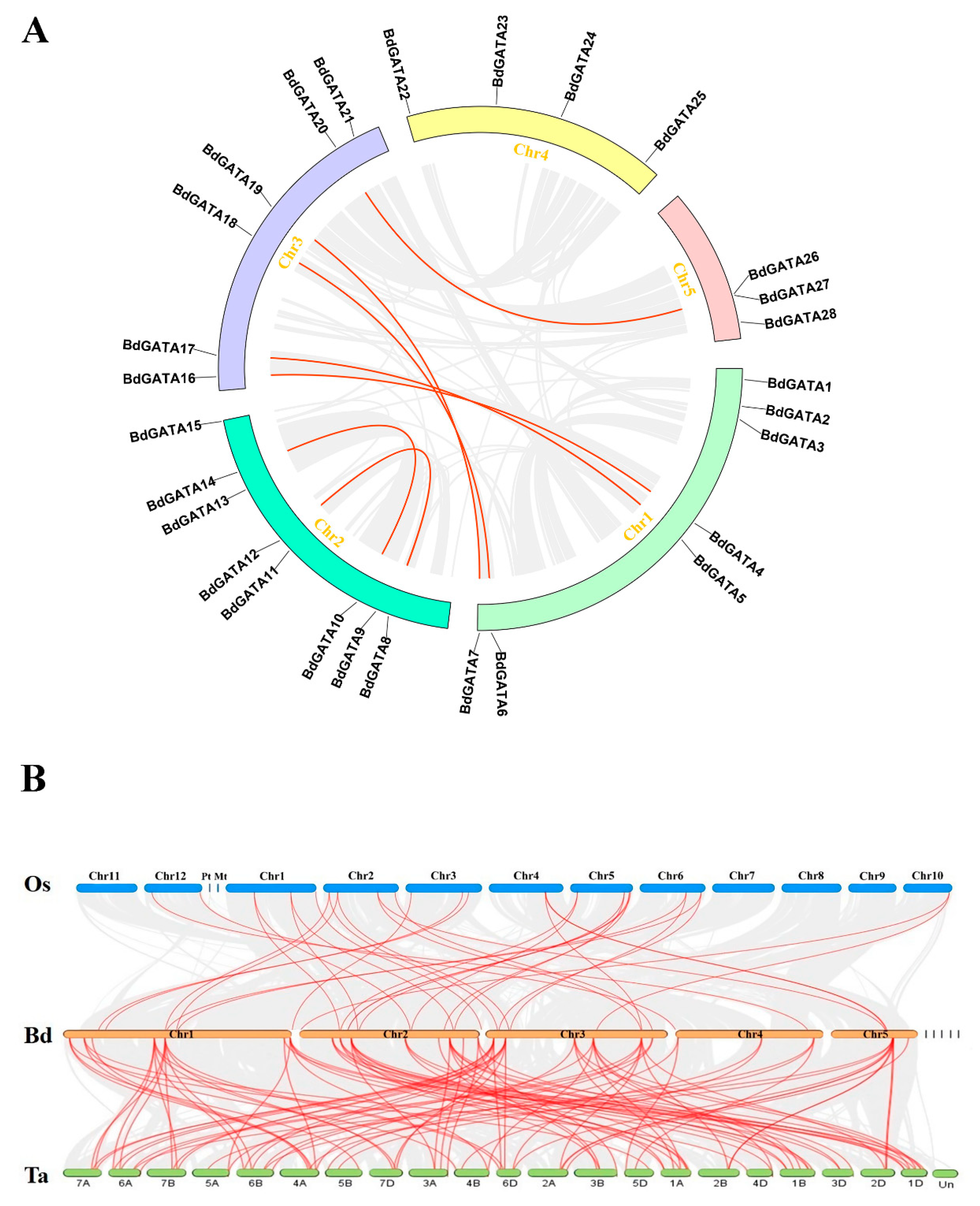 Ijms 22 02026 g003 Ijms 22 02026 g003