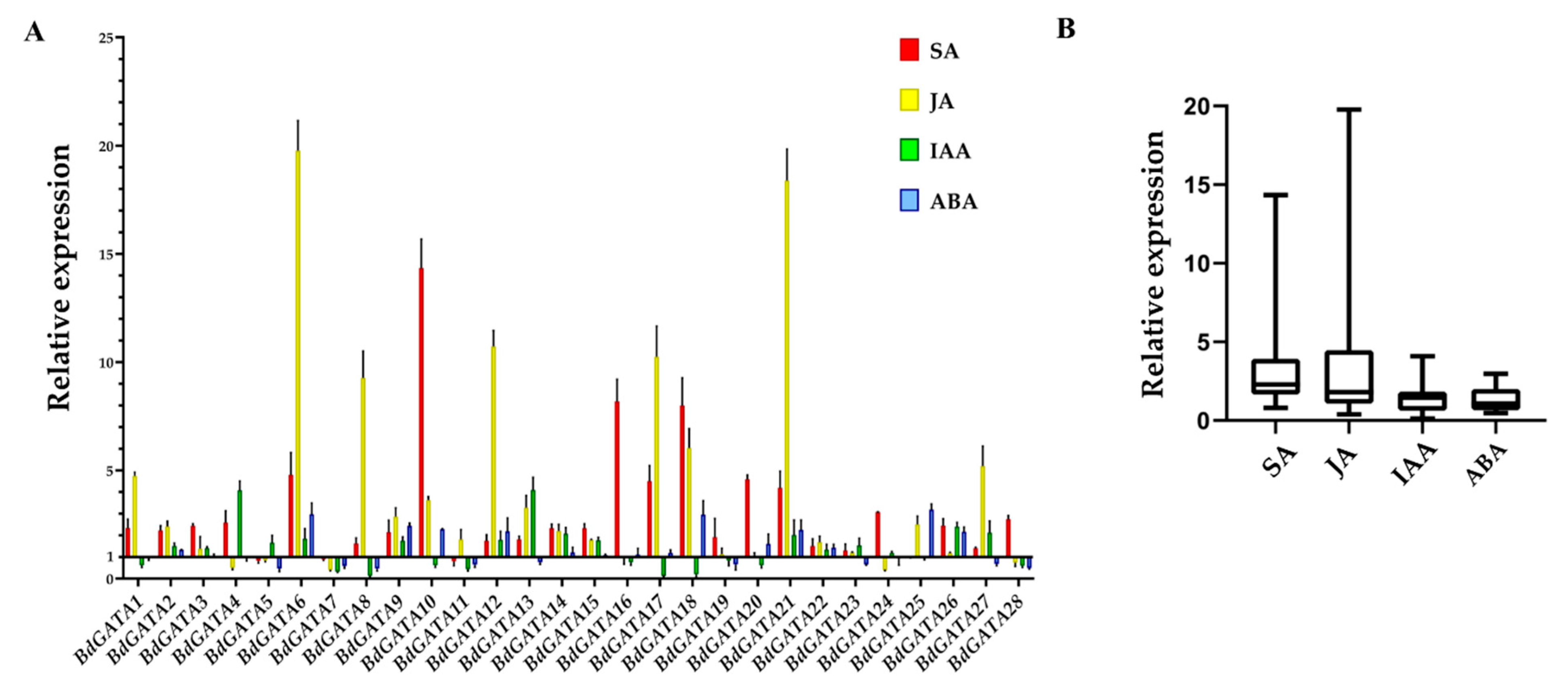 IJMS | Free Full-Text | Genome-Wide Characterization, Evolution, and ...