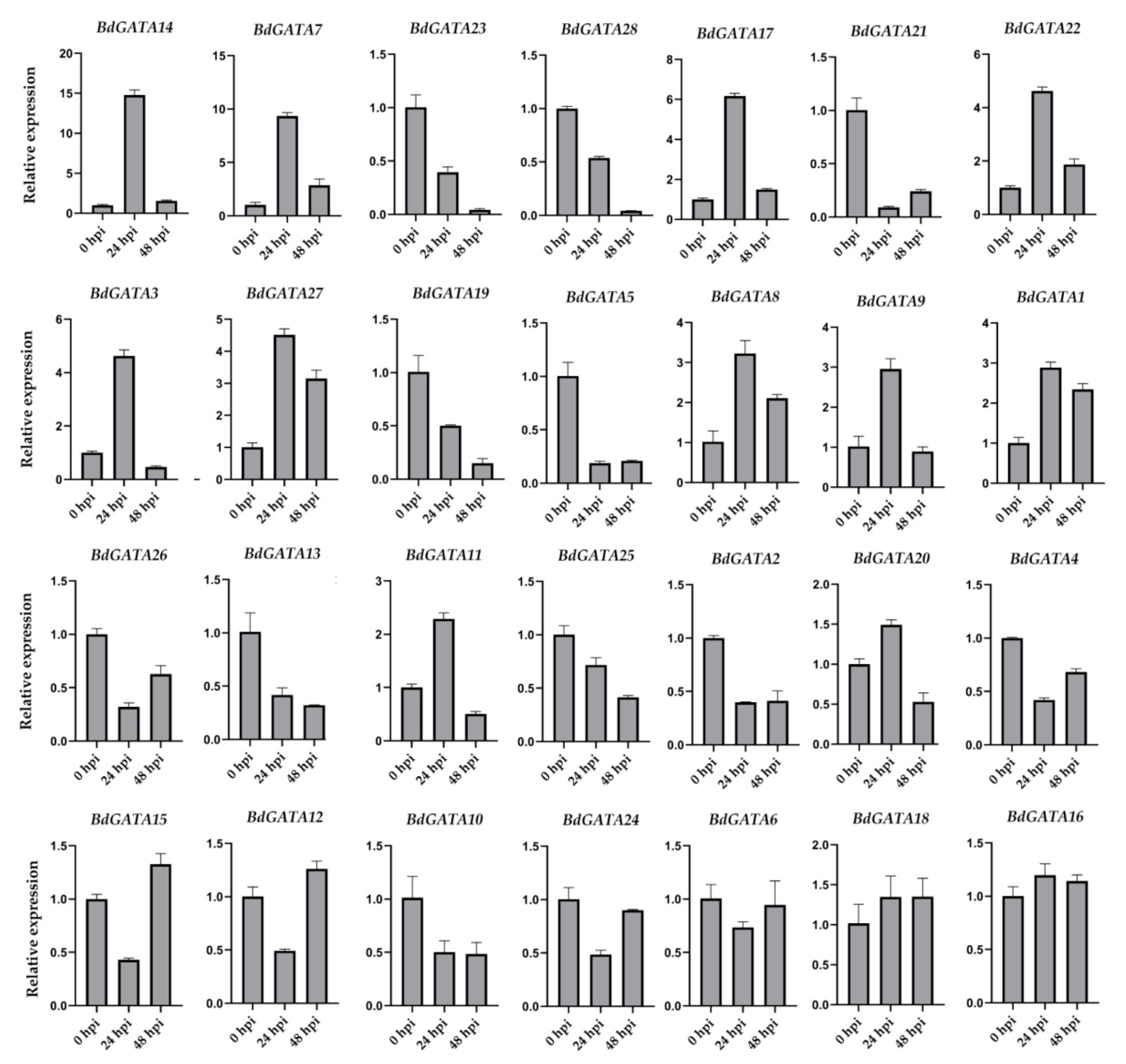 Ijms 22 02026 g008 Ijms 22 02026 g008