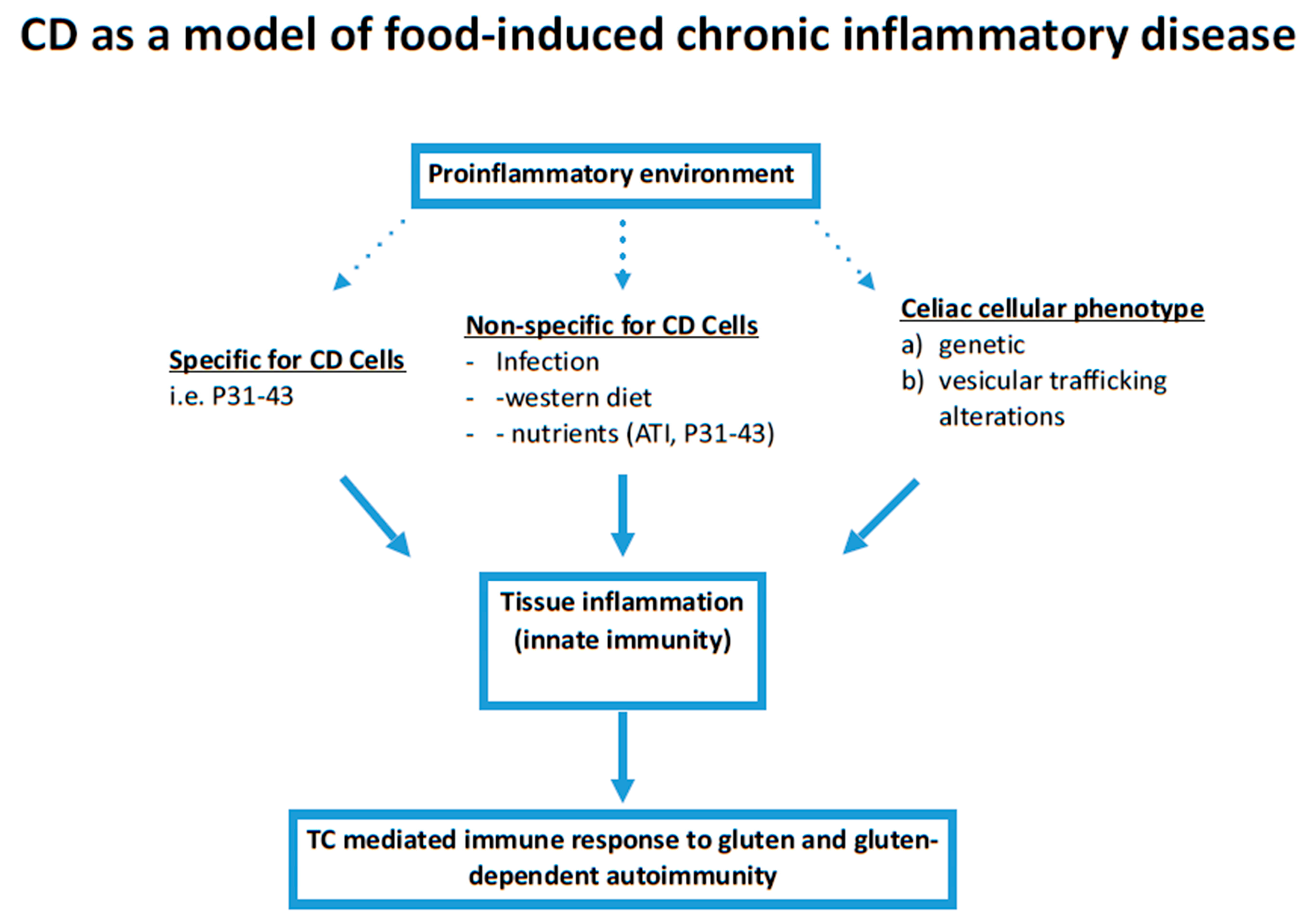 Ijms 22 02027 g001 Ijms 22 02027 g001