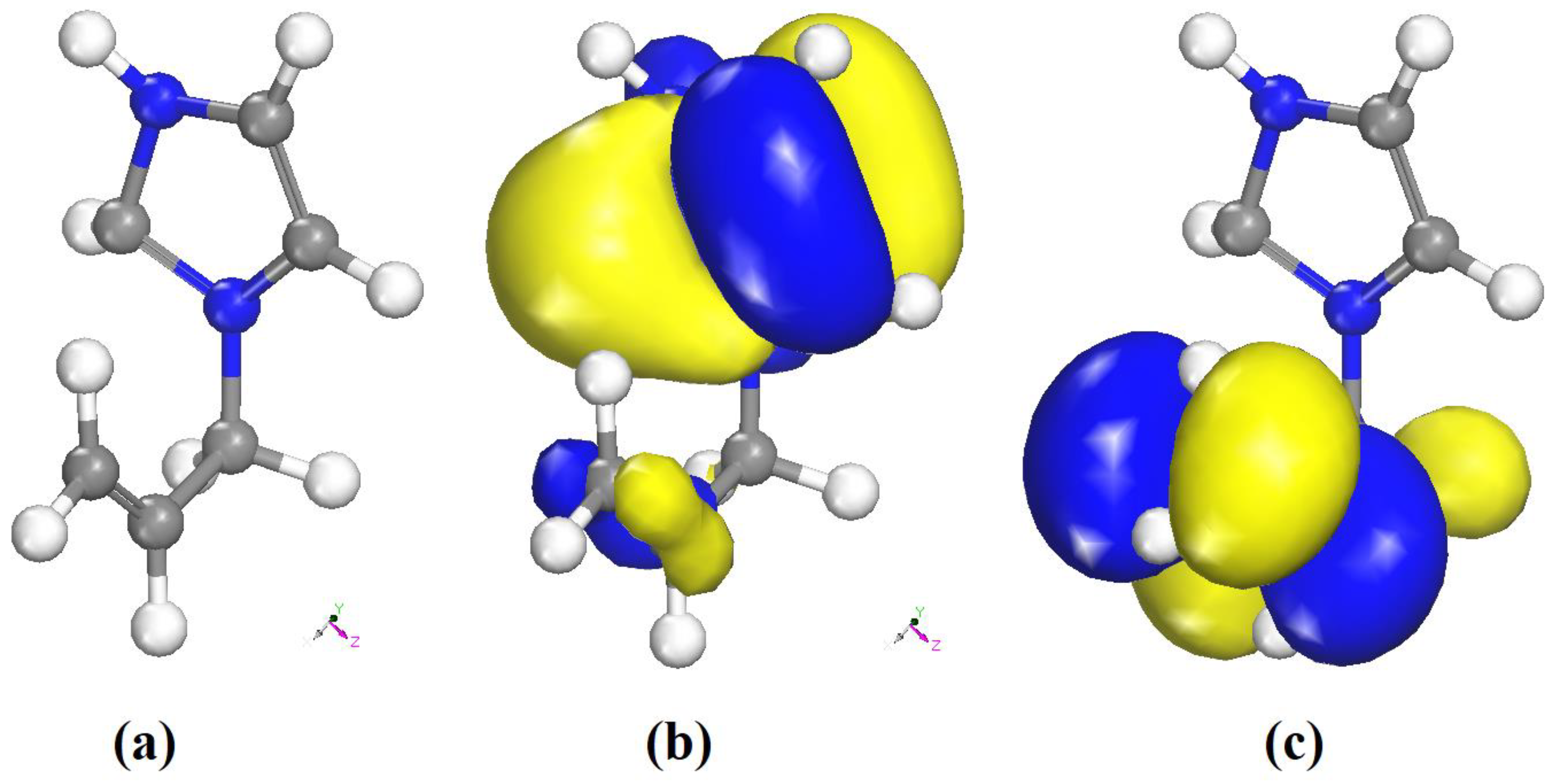 Ijms 22 02030 g016 Ijms 22 02030 g016