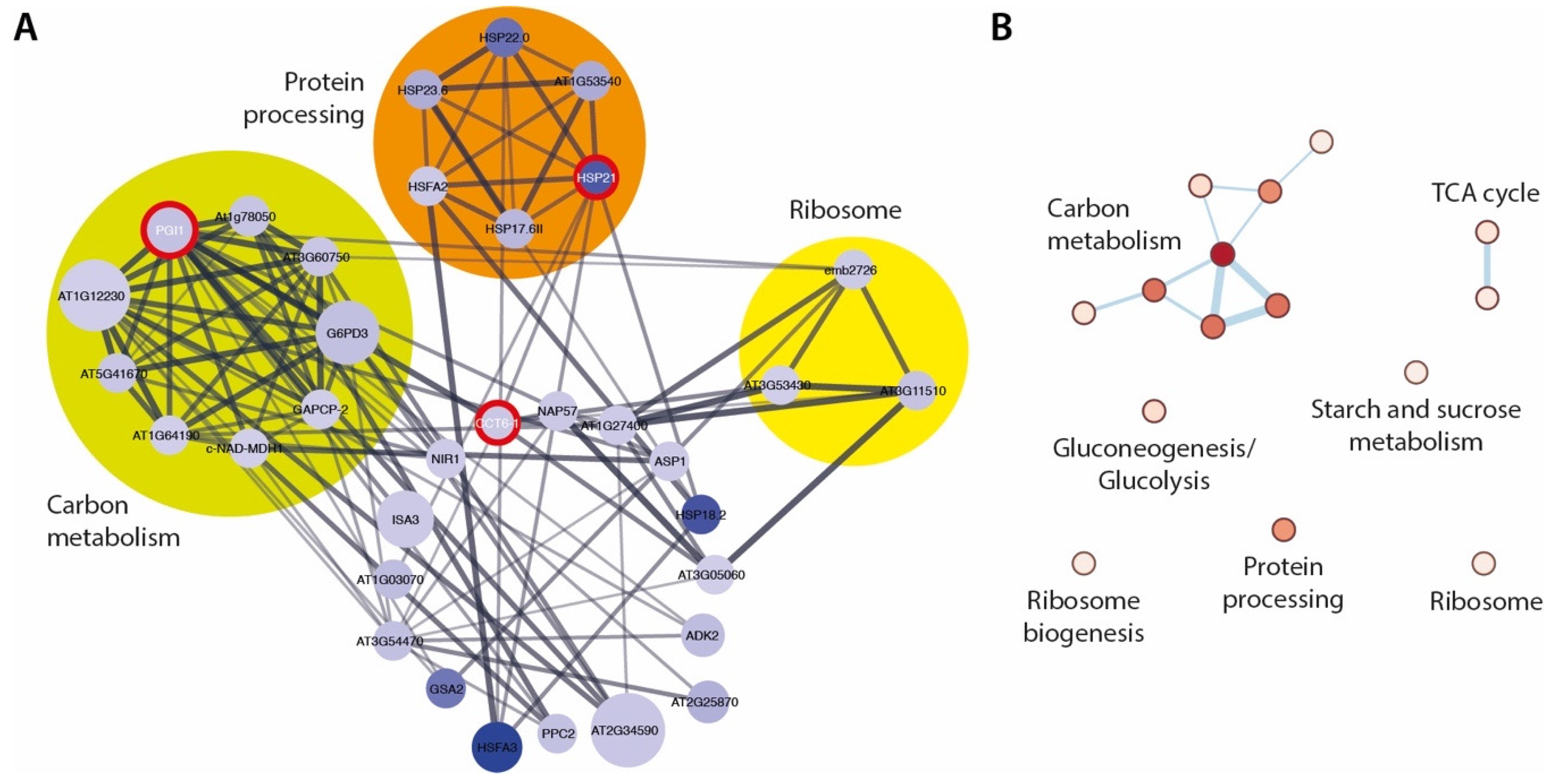Ijms 22 02040 g005 Ijms 22 02040 g005