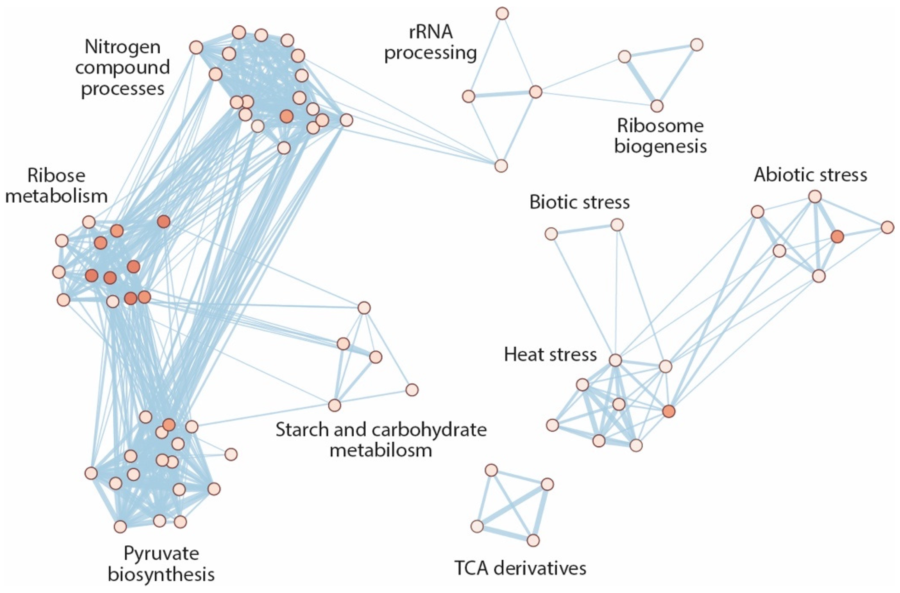 Ijms 22 02040 g006 Ijms 22 02040 g006