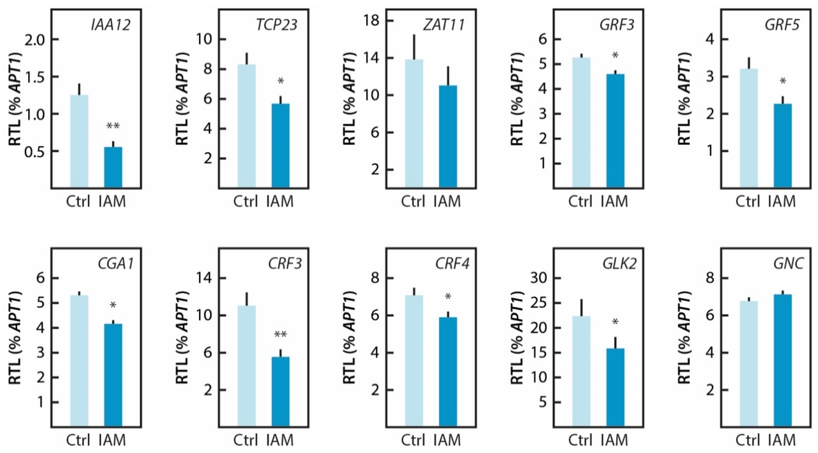 Ijms 22 02040 g007 Ijms 22 02040 g007