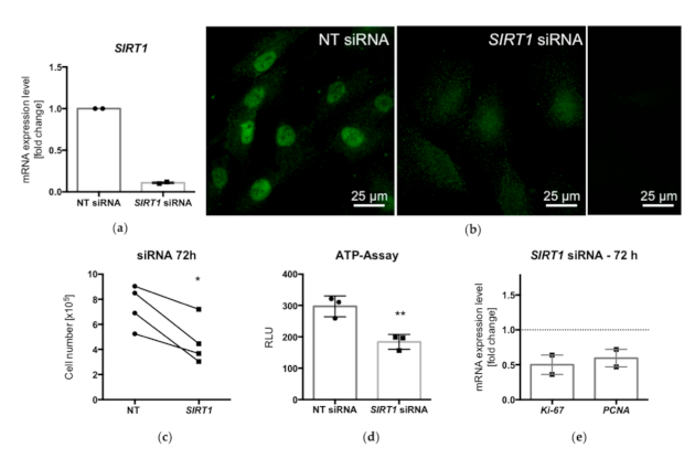 Ijms 22 02047 g004 Ijms 22 02047 g004