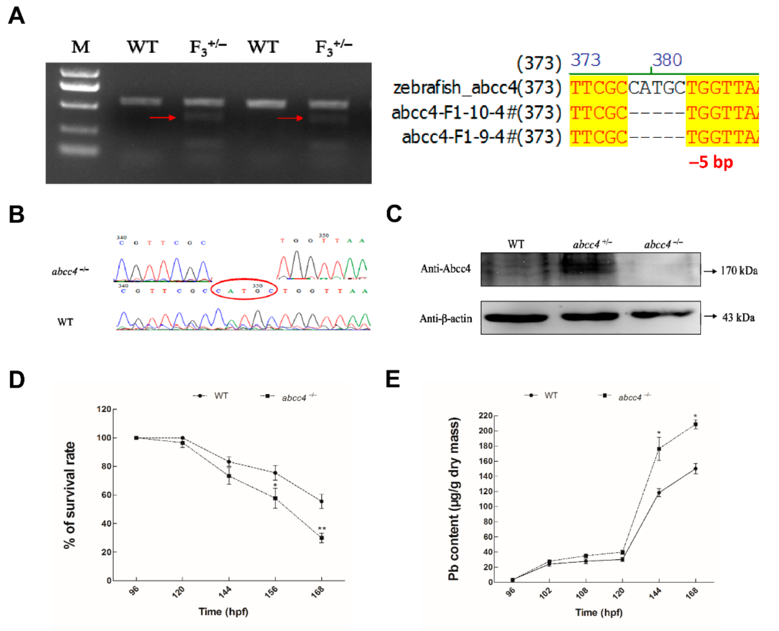Ijms 22 02054 g004 Ijms 22 02054 g004
