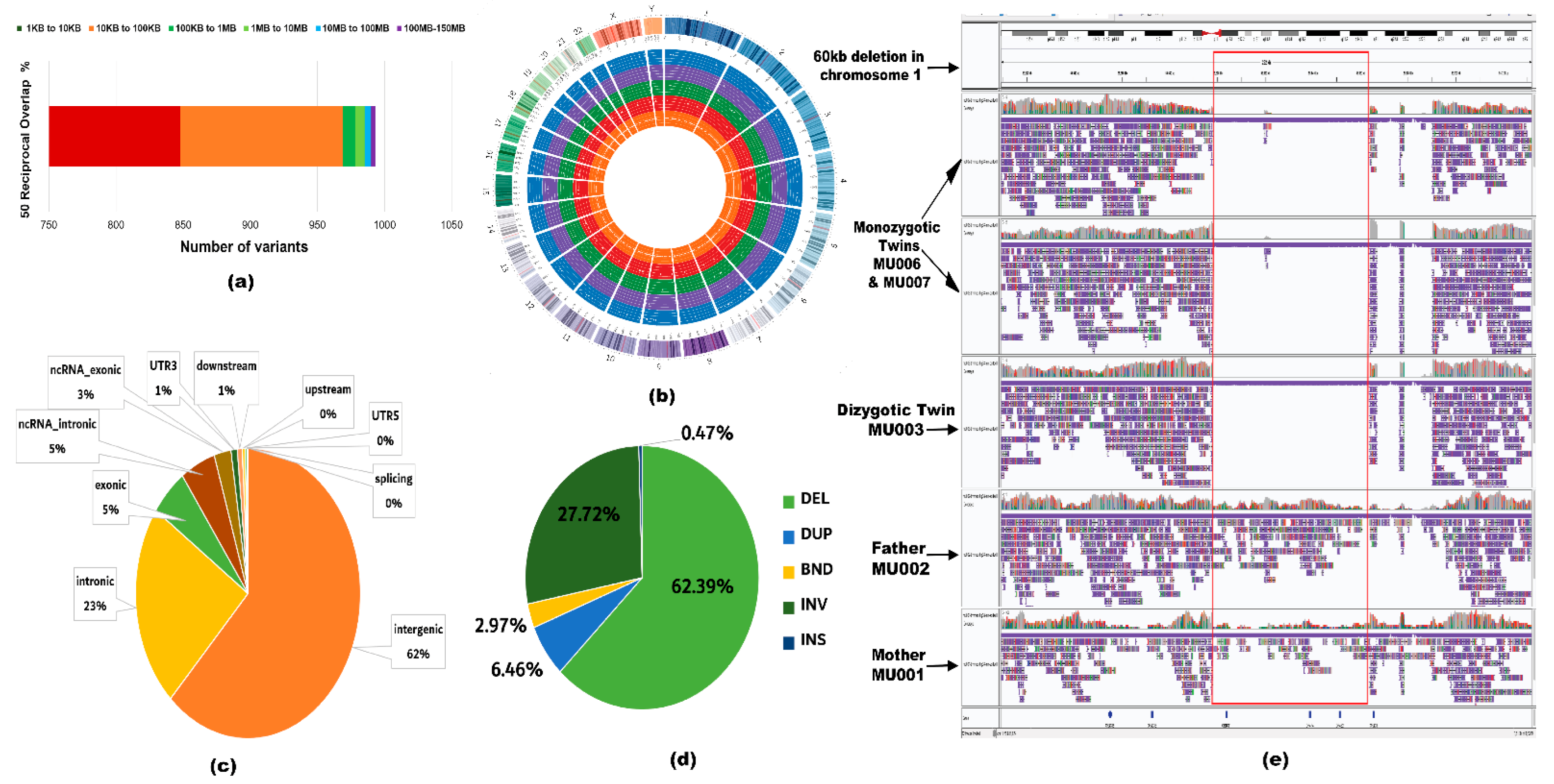 Ijms 22 02060 g003 Ijms 22 02060 g003