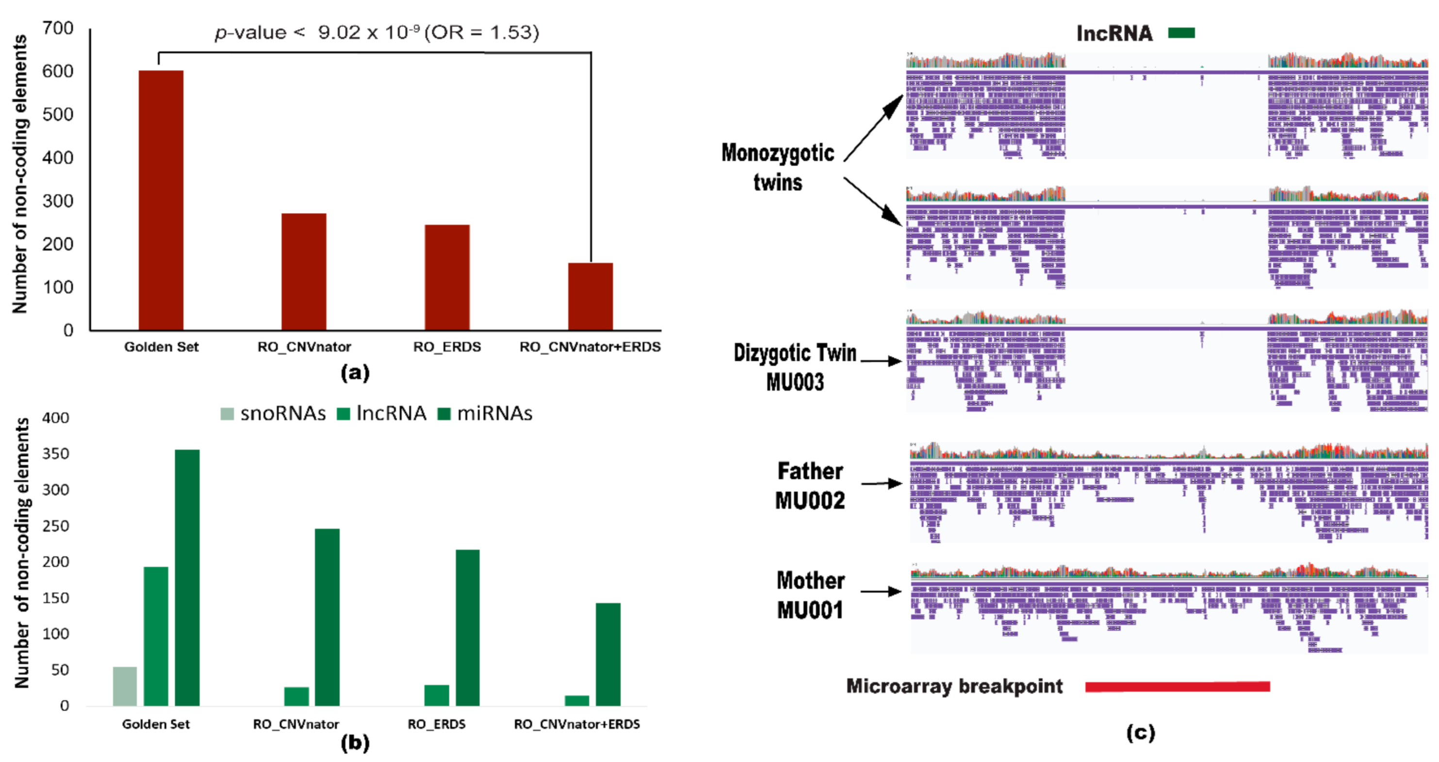 Ijms 22 02060 g005 Ijms 22 02060 g005