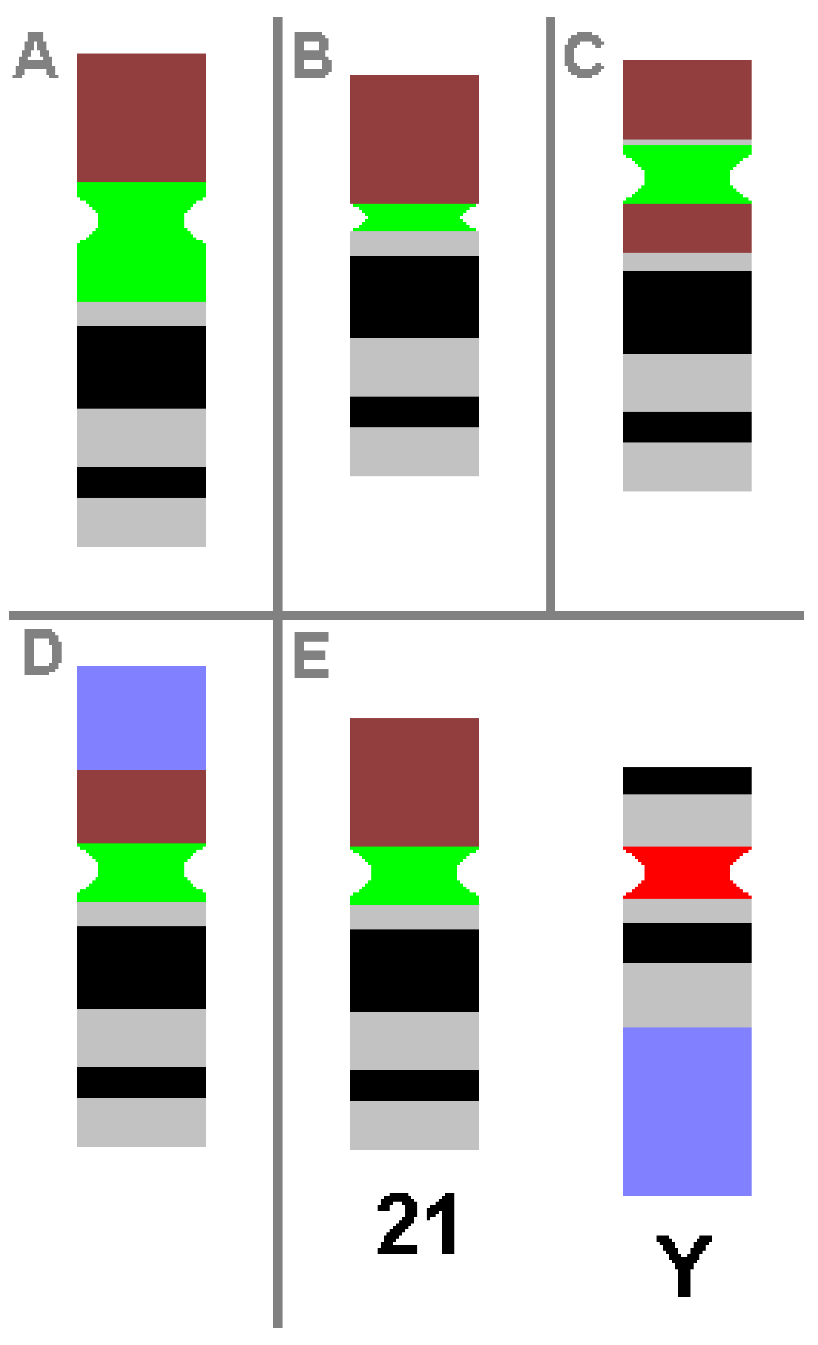 Ijms 22 02072 g001 Ijms 22 02072 g001