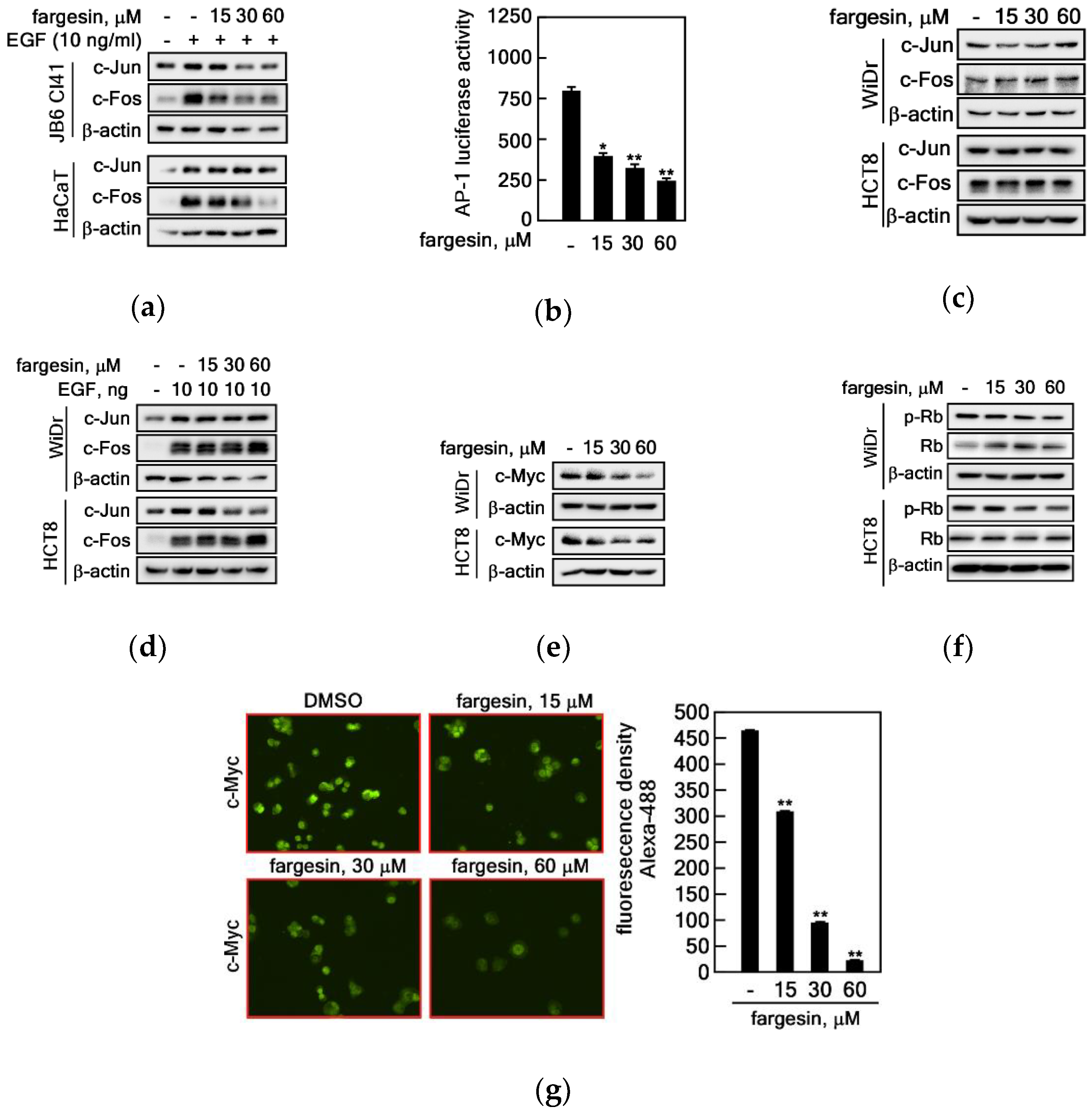 Ijms 22 02073 g005 Ijms 22 02073 g005