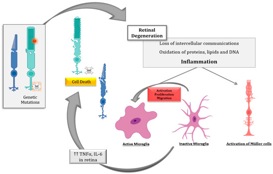 Ijms 22 02096 g002 550