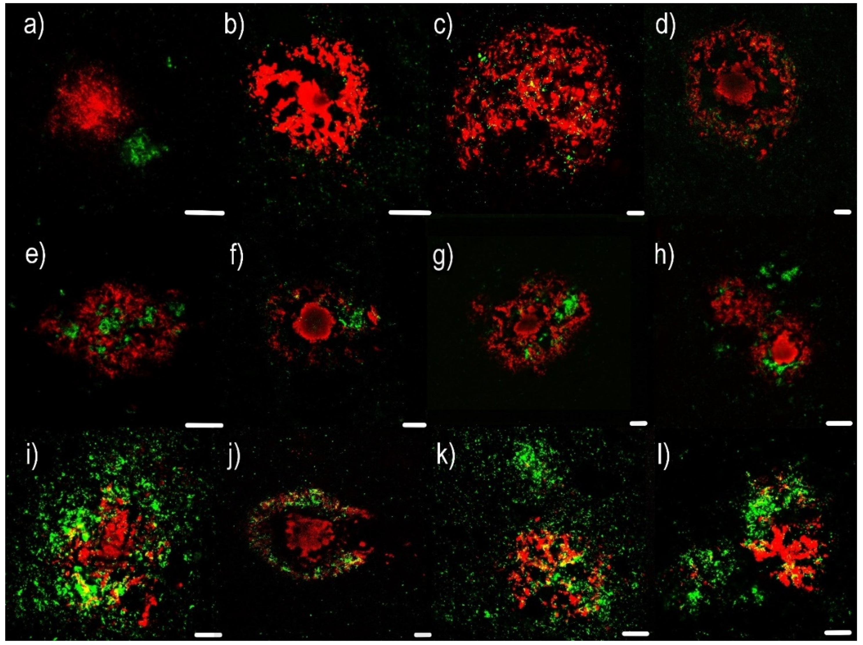 Ijms 22 02099 g001 Ijms 22 02099 g001